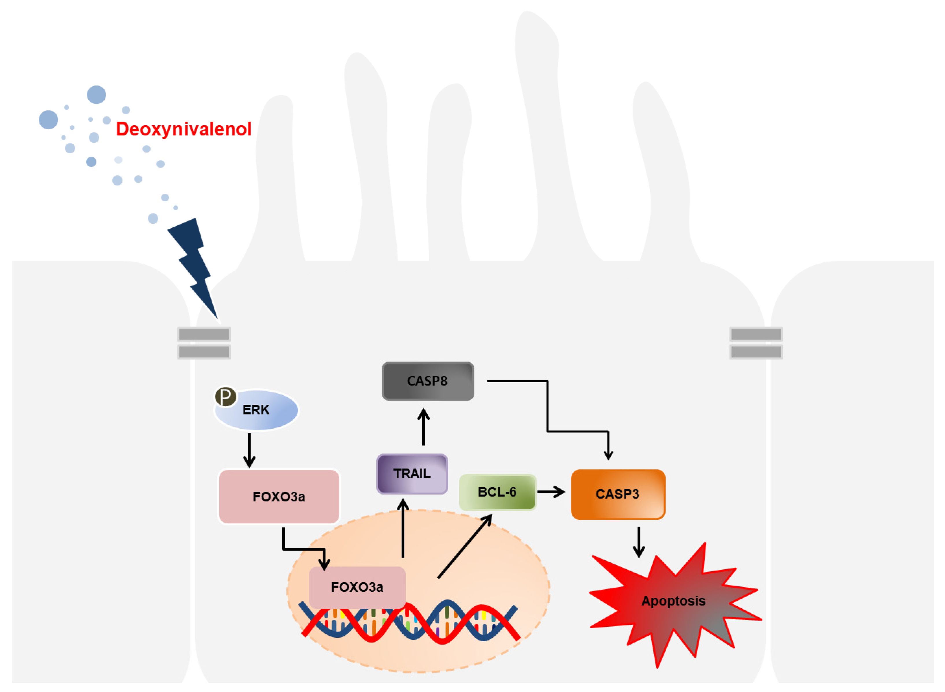 Toxics 10 00535 g007