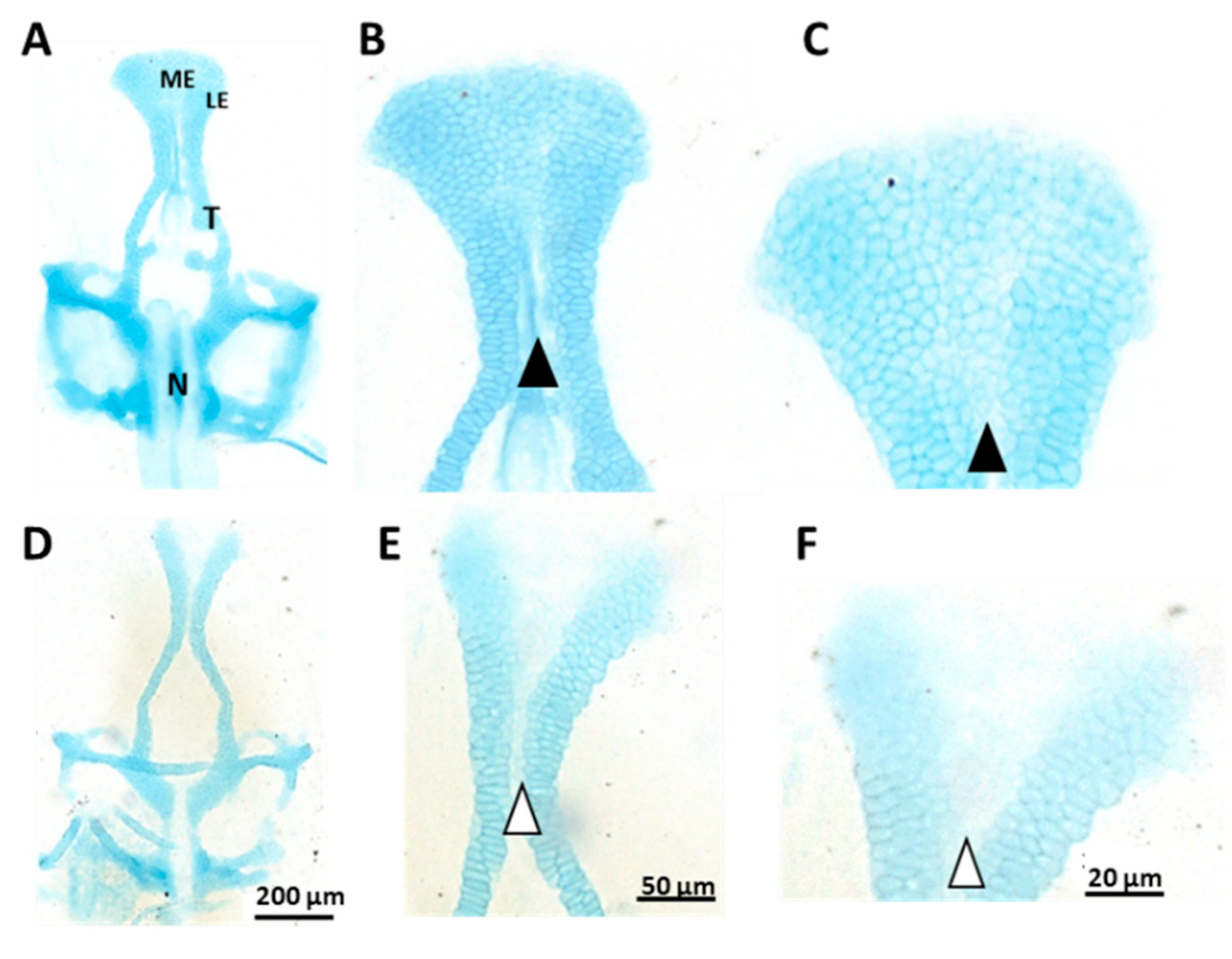 Toxics 10 00544 g004 Toxics 10 00544 g004