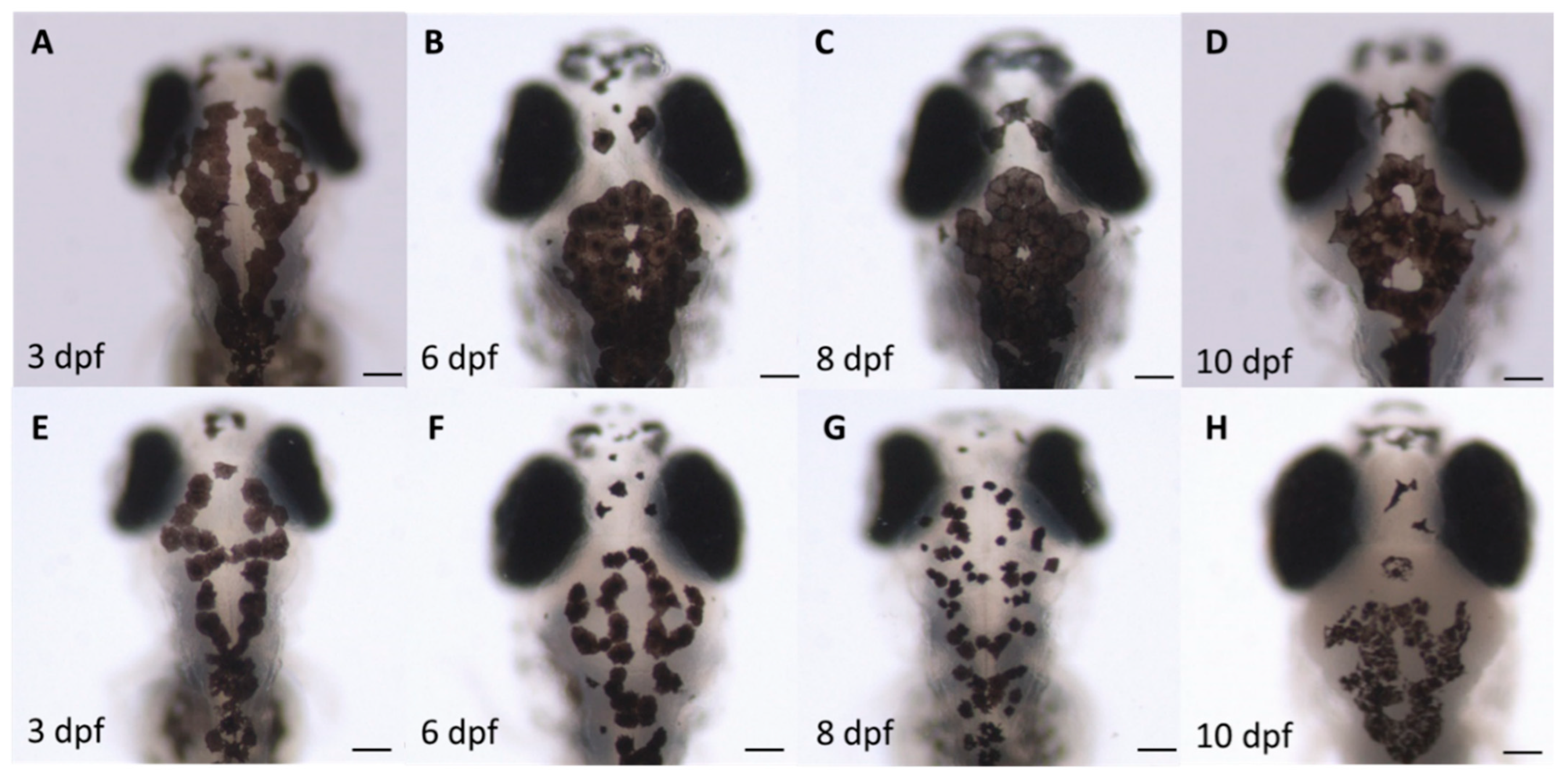 Toxics 10 00544 g006 Toxics 10 00544 g006