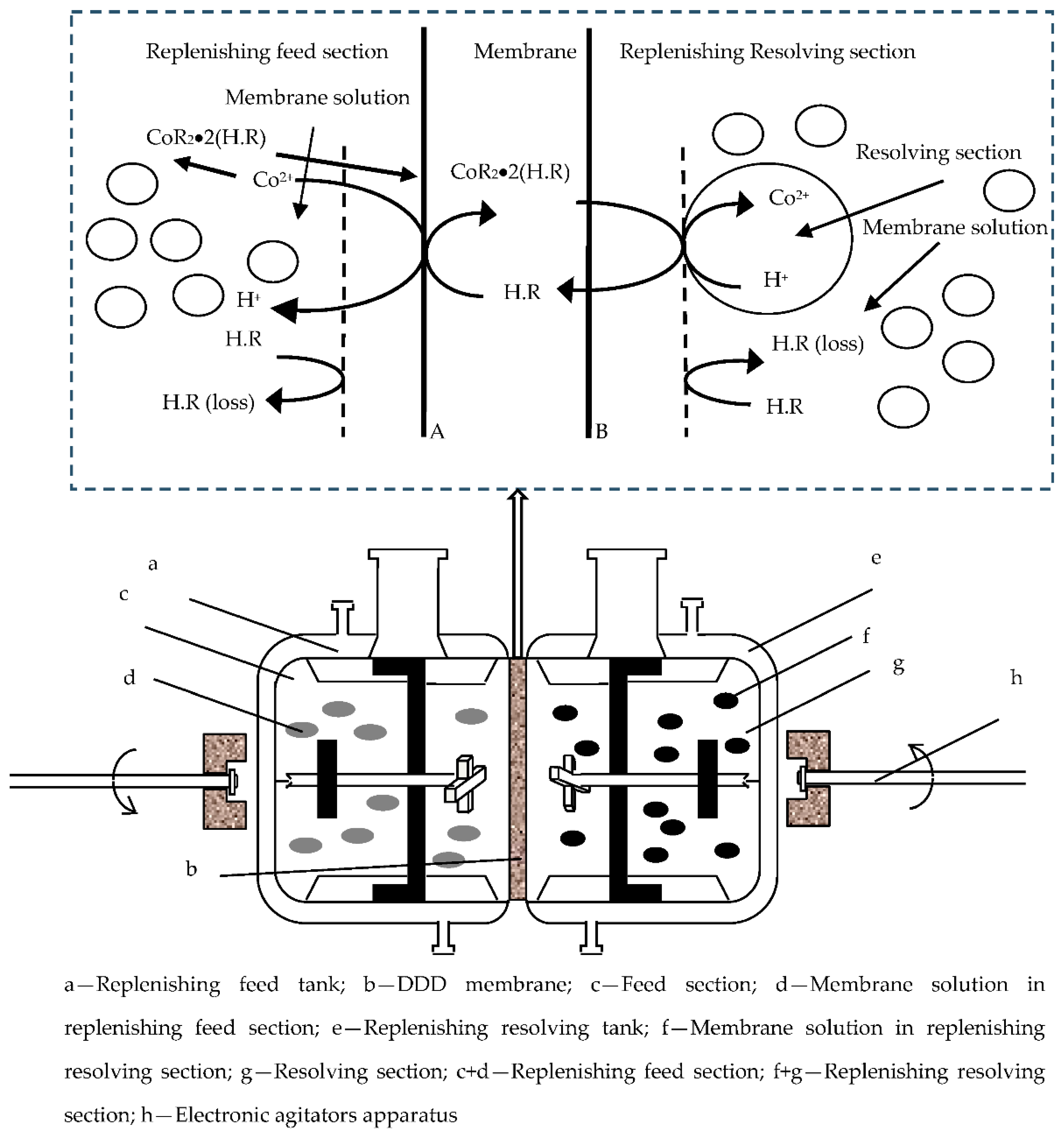 Toxics 10 00546 g001