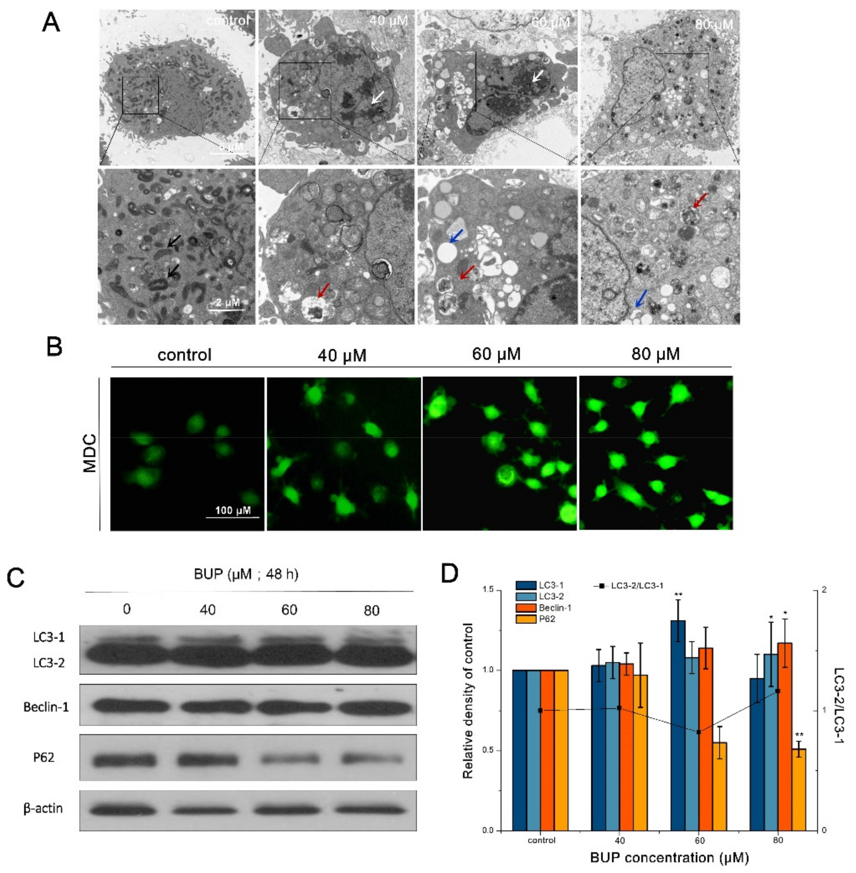 Toxics 10 00551 g007