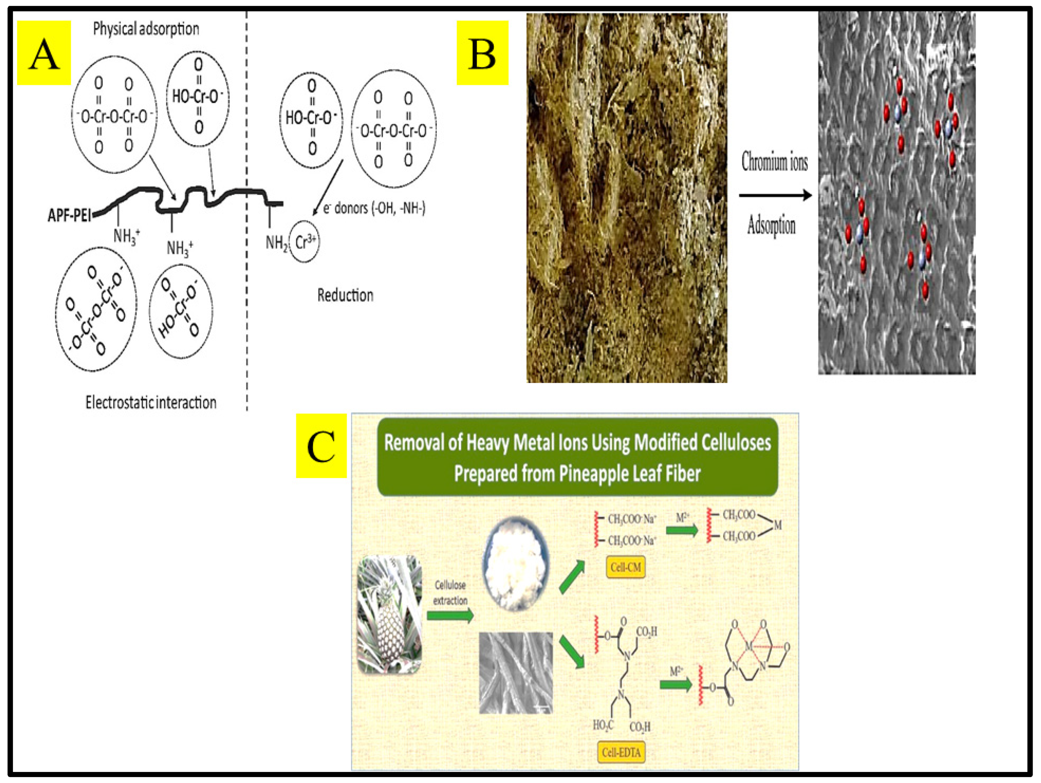 Toxics 10 00561 g002 Toxics 10 00561 g002