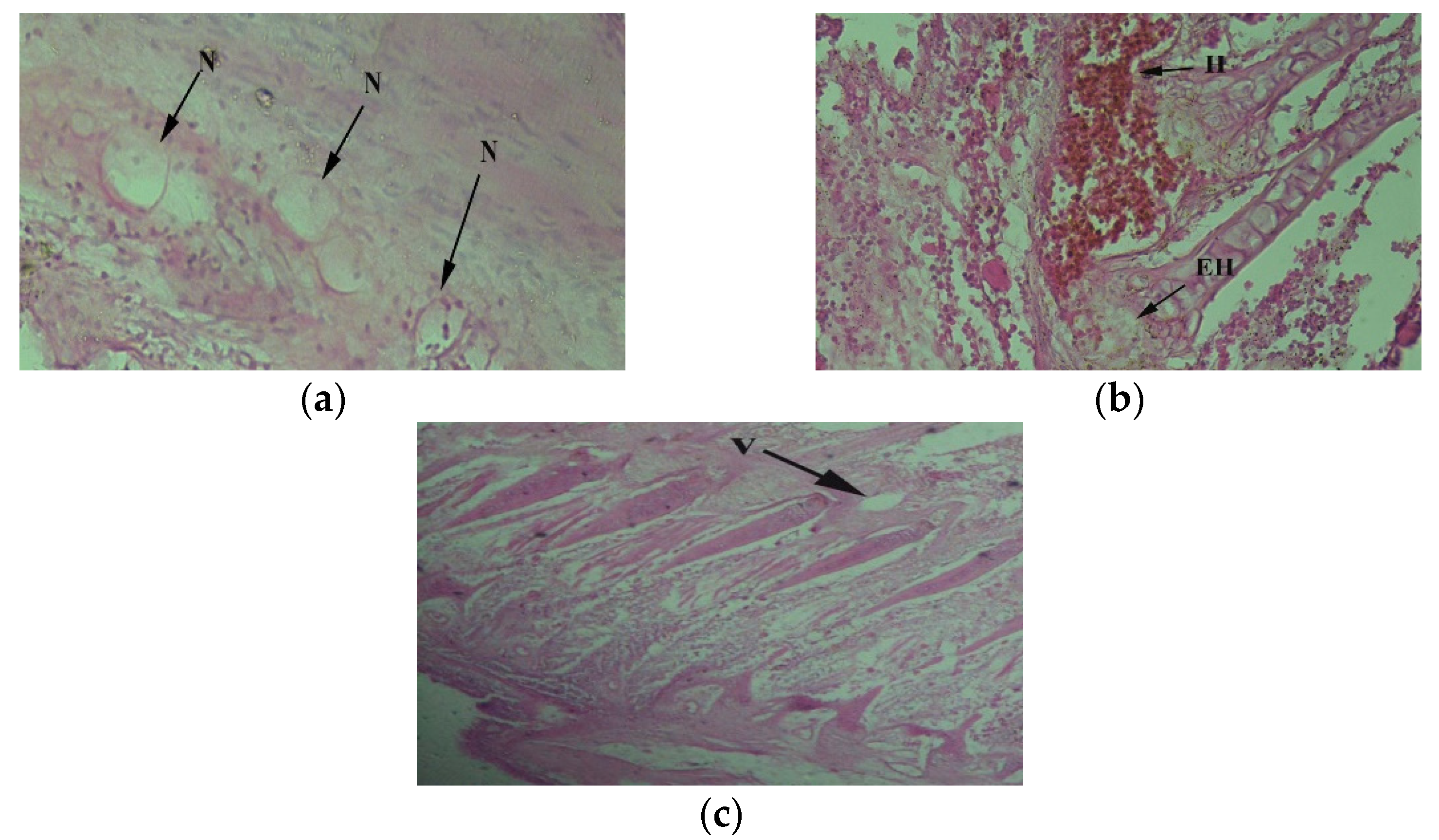 Toxics 10 00564 g002