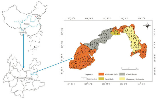 ノーザン Insights into the evolutionary history and taxonomic status