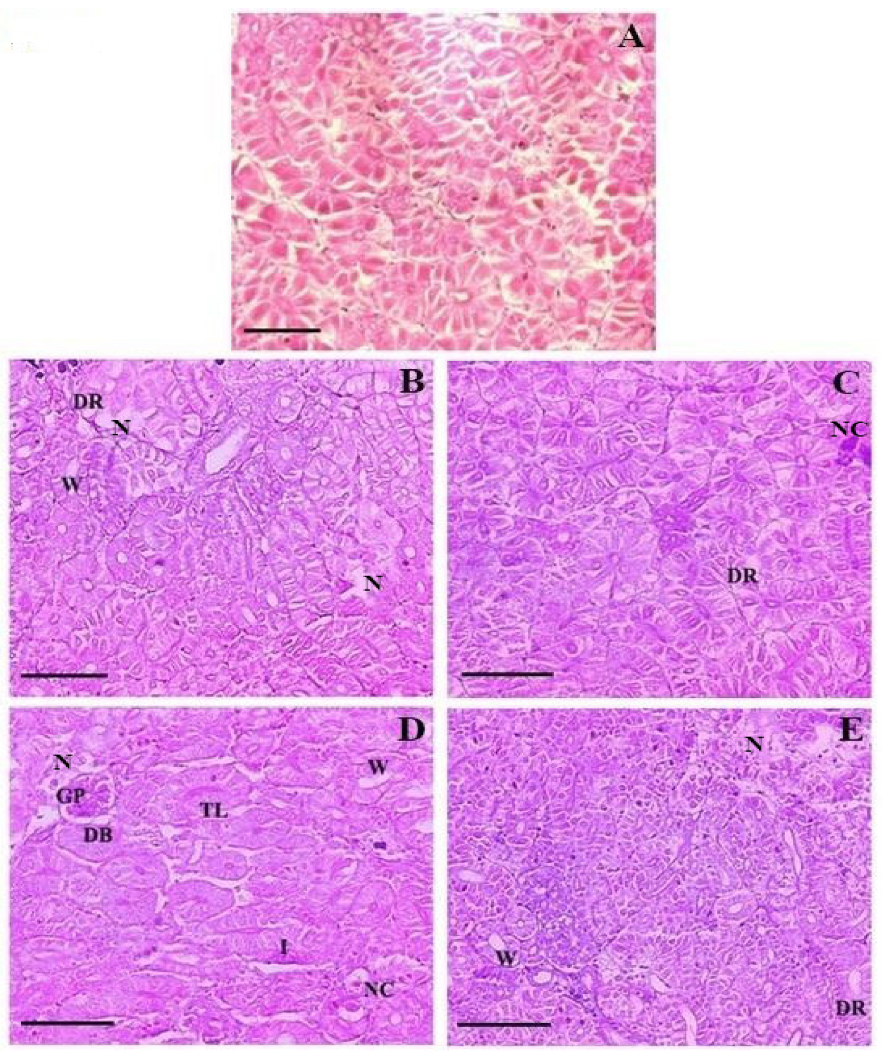 Toxics 10 00571 g005