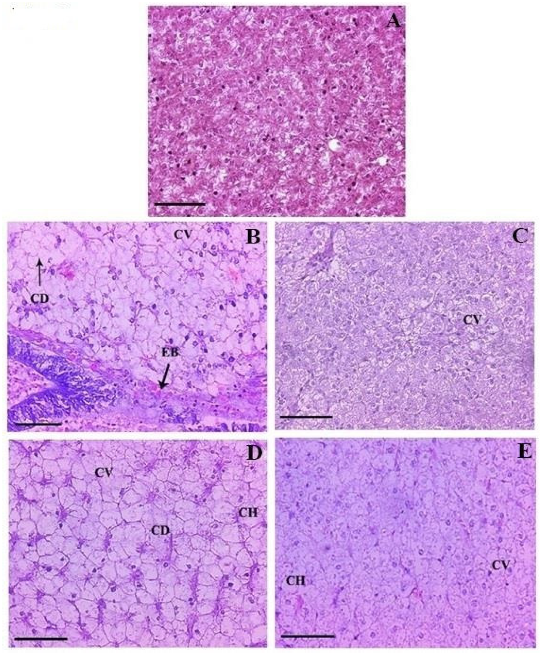 Toxics 10 00571 g006