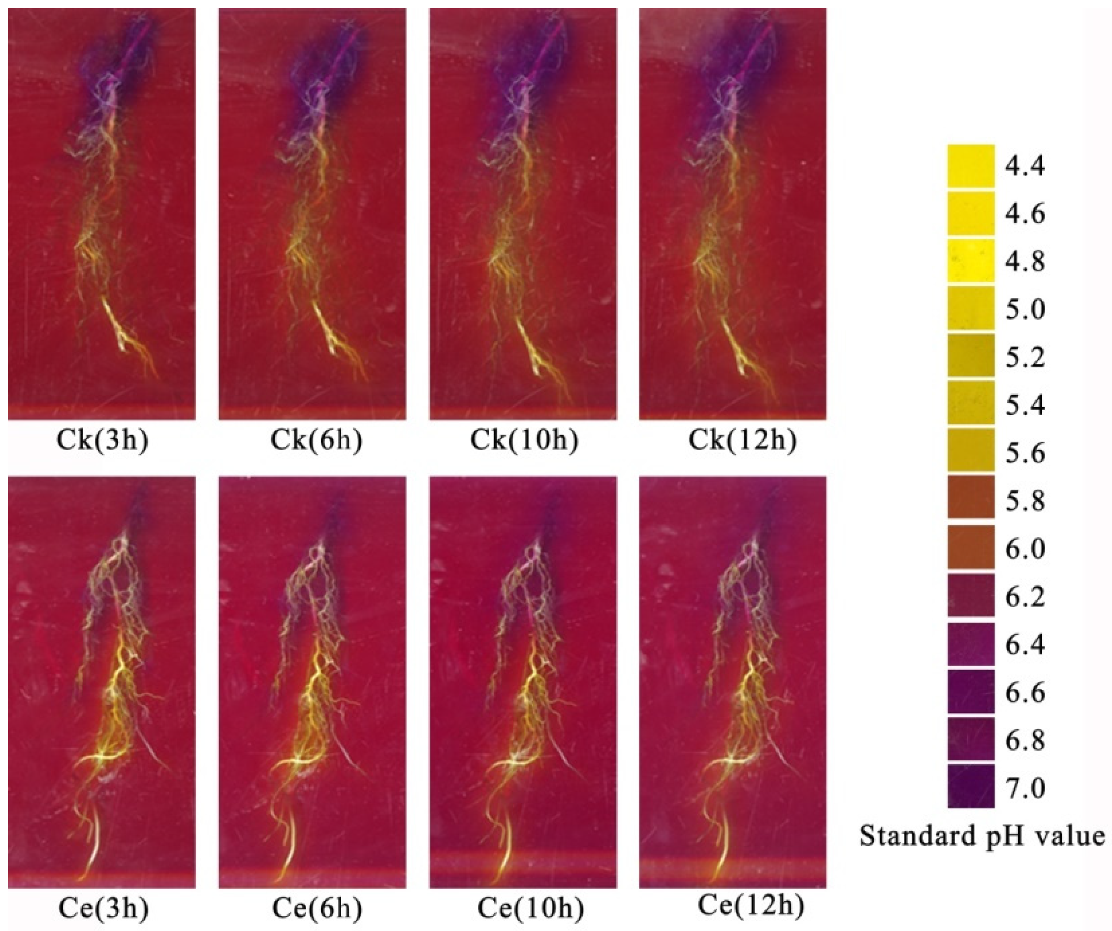 Toxics 10 00574 g005