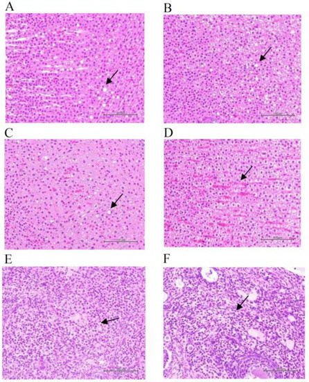 Chemical Composition and Chronic Toxicity of Disc-Cultured Chemical Composition and Chronic Toxicity of Disc-Cultured