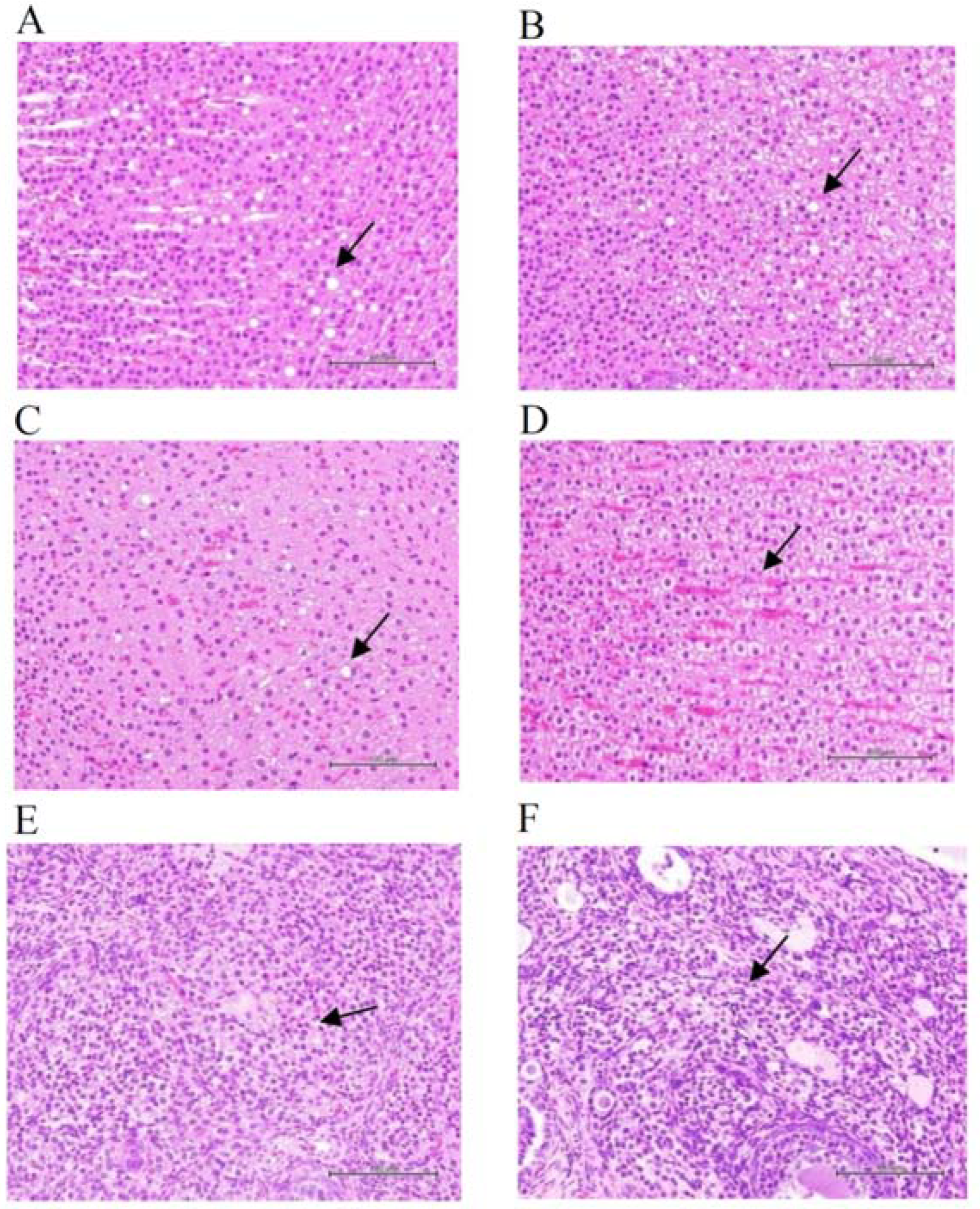 Toxics 10 00587 g003