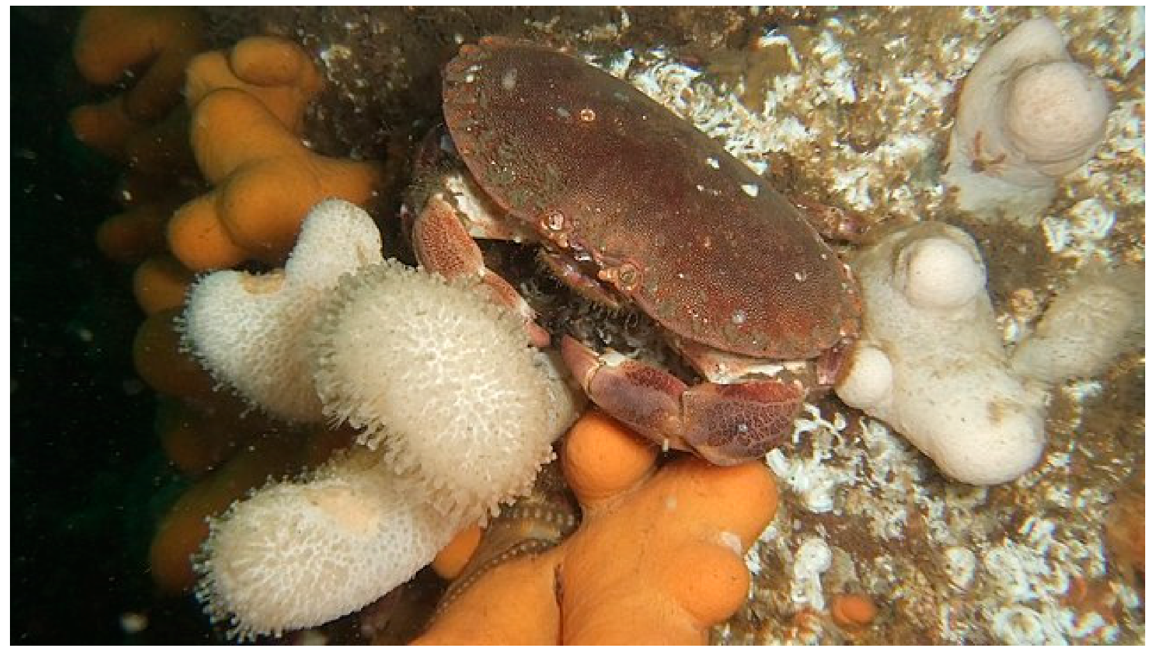 Toxics 10 00591 g001 Toxics 10 00591 g001