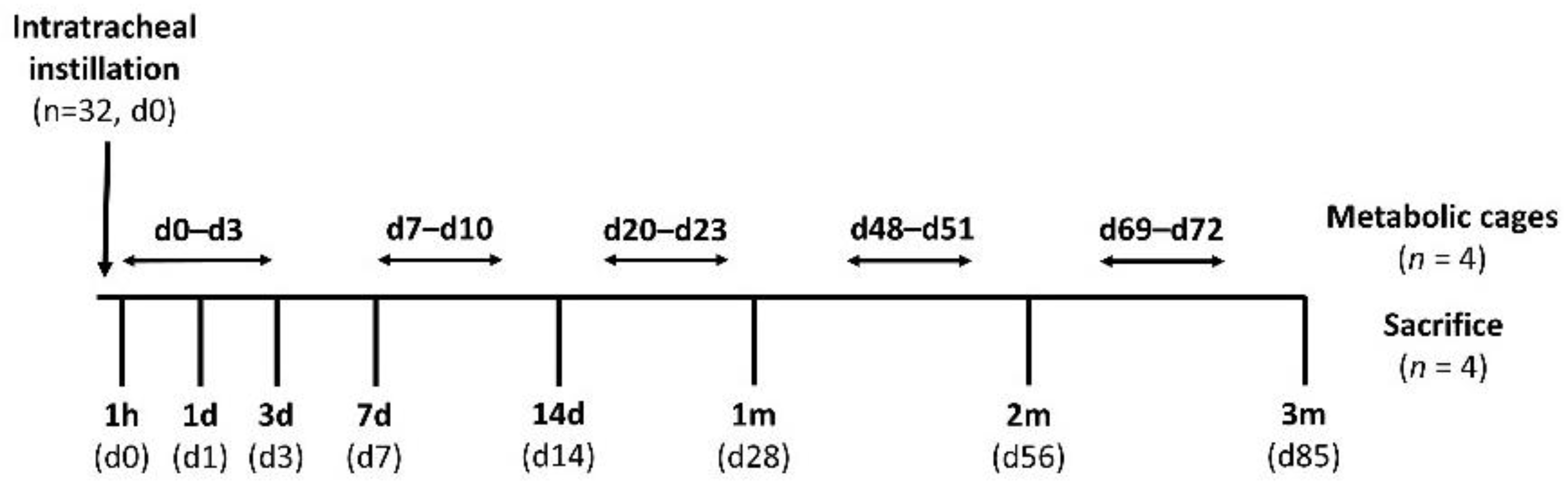 Toxics 10 00602 g001
