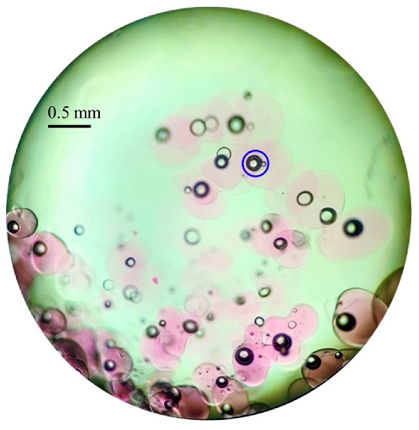 Toxics 10 00603 g006