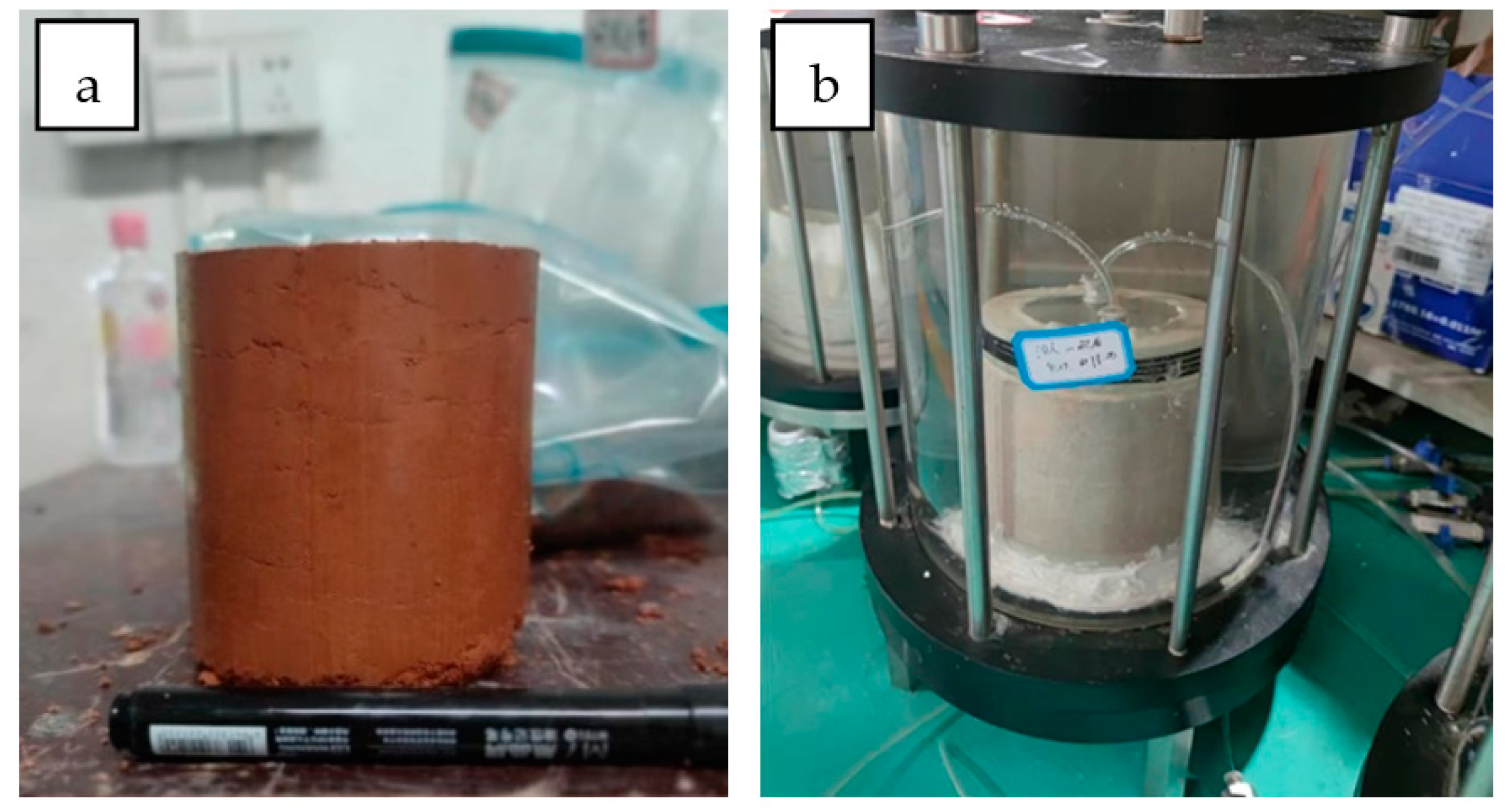 Toxics 10 00606 g001