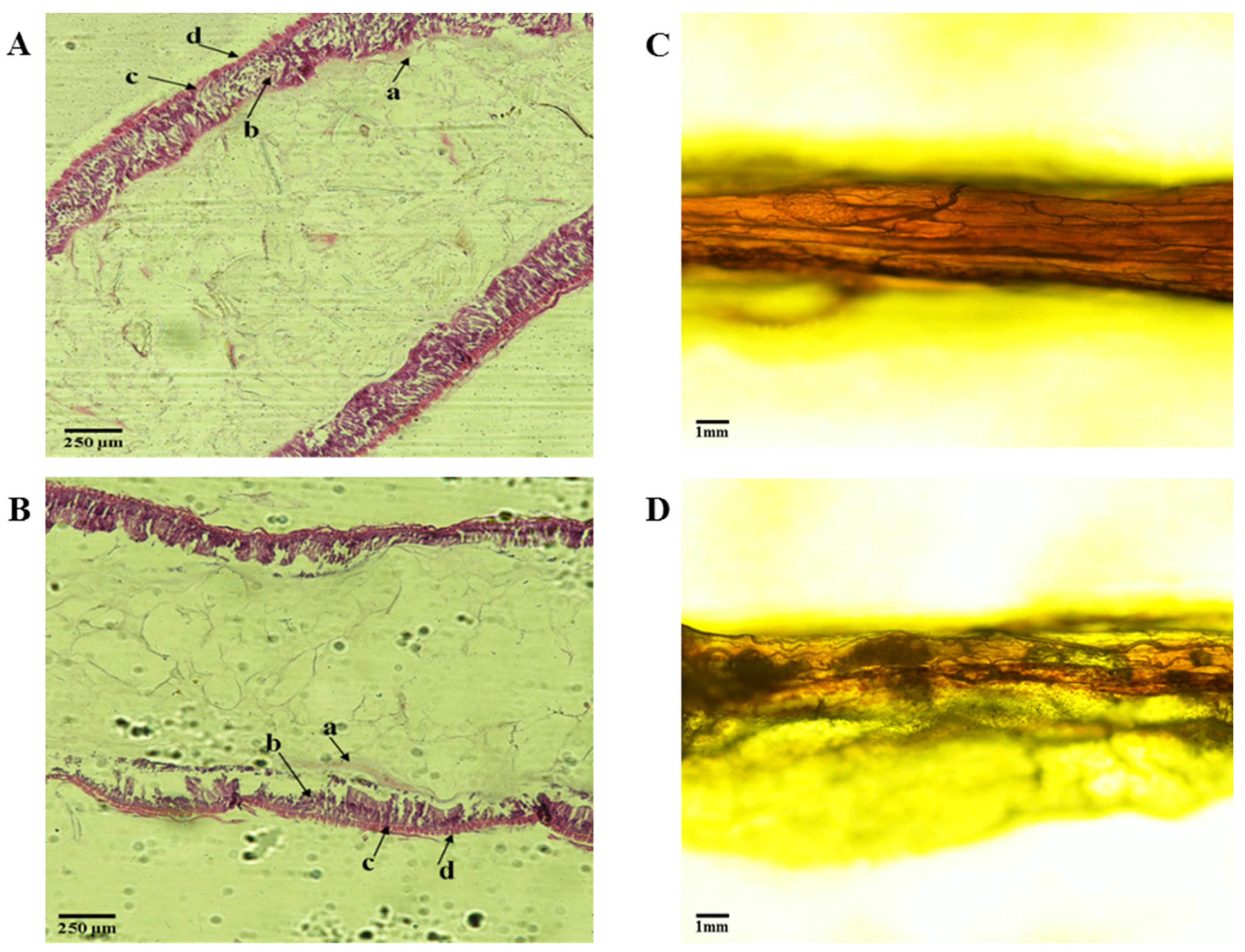 Toxics 10 00608 g003 Toxics 10 00608 g003