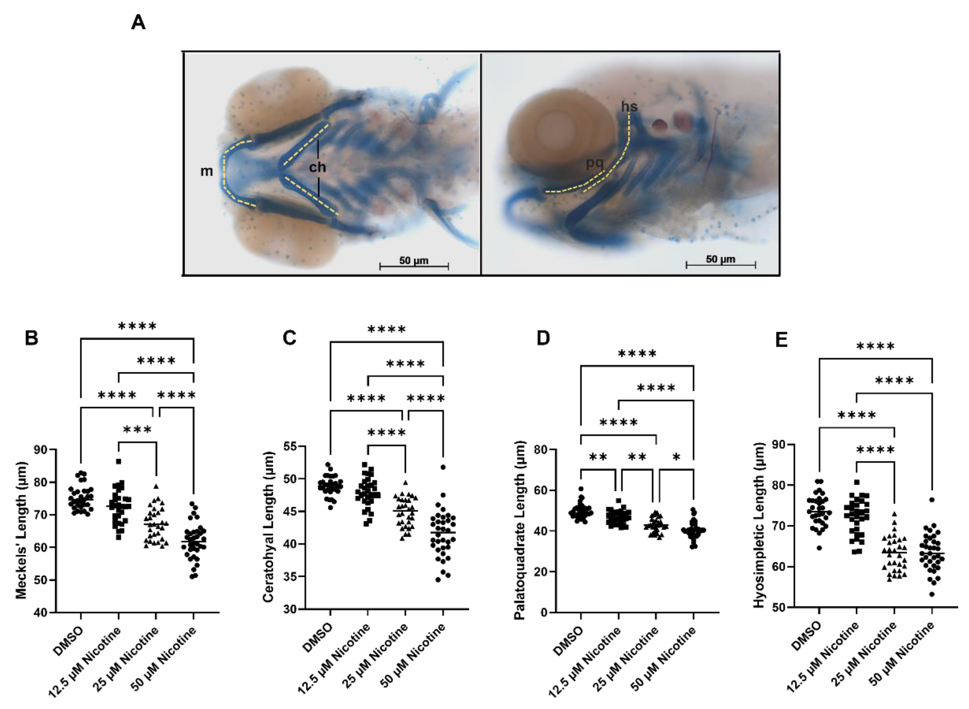 Toxics 10 00612 g003