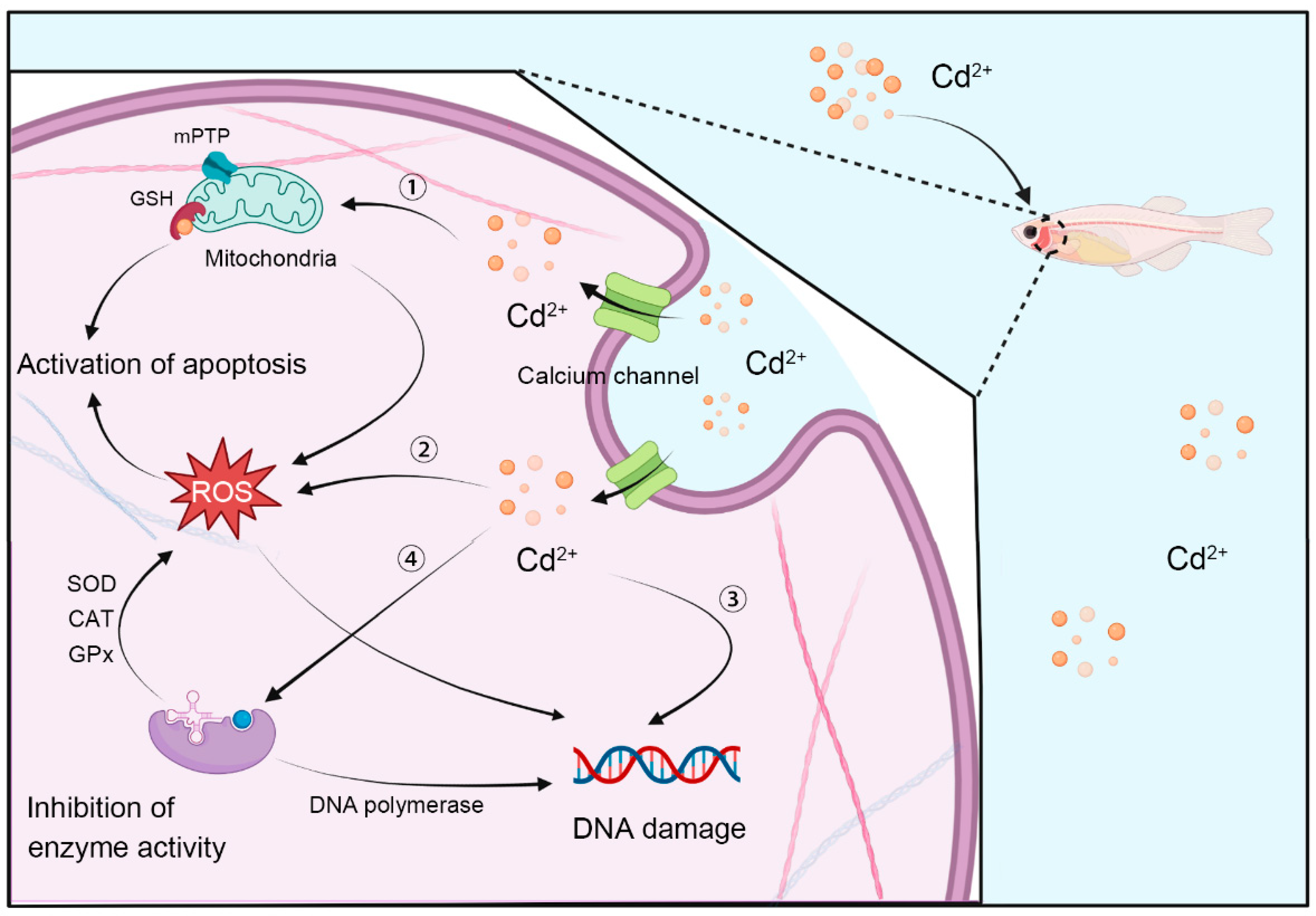 Toxics 10 00622 g003 Toxics 10 00622 g003