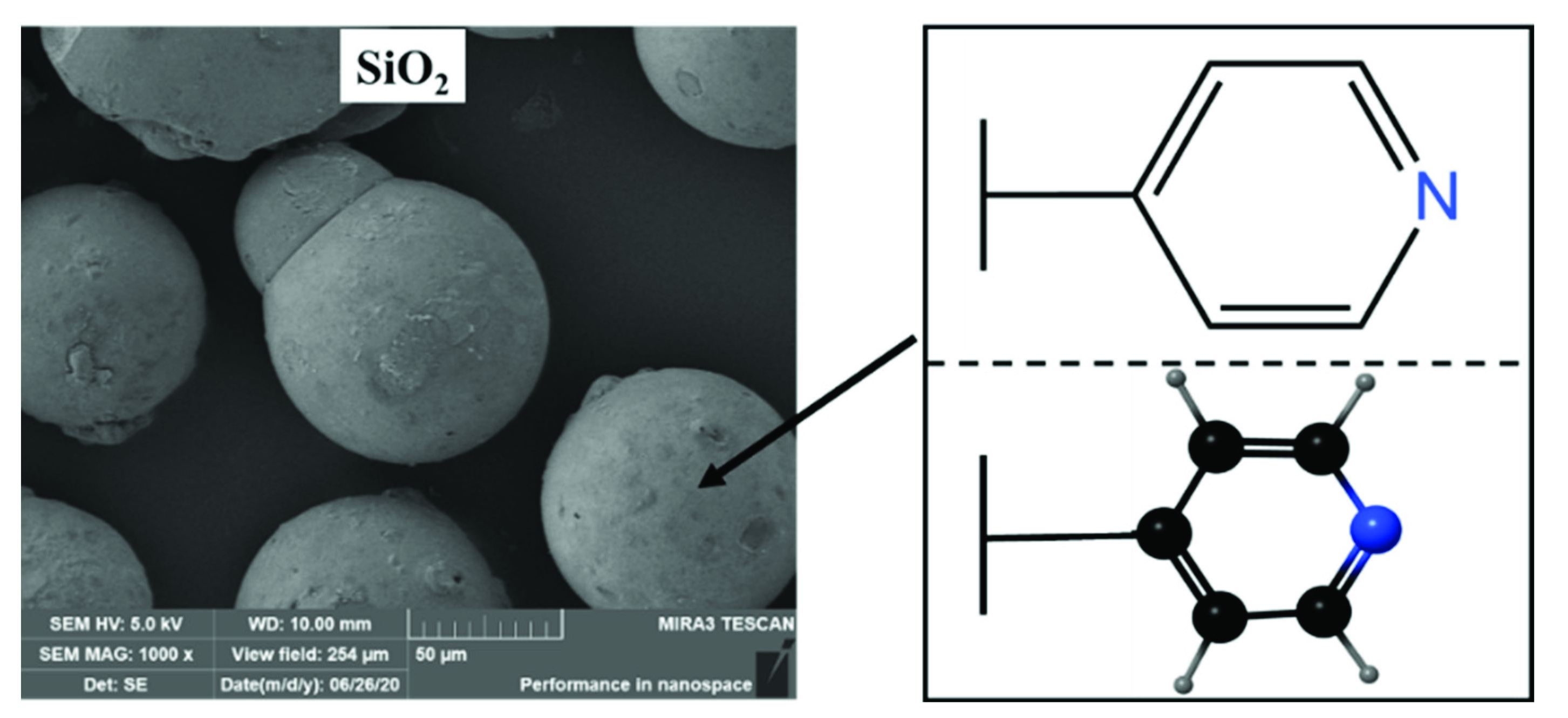 Toxics 10 00638 g001