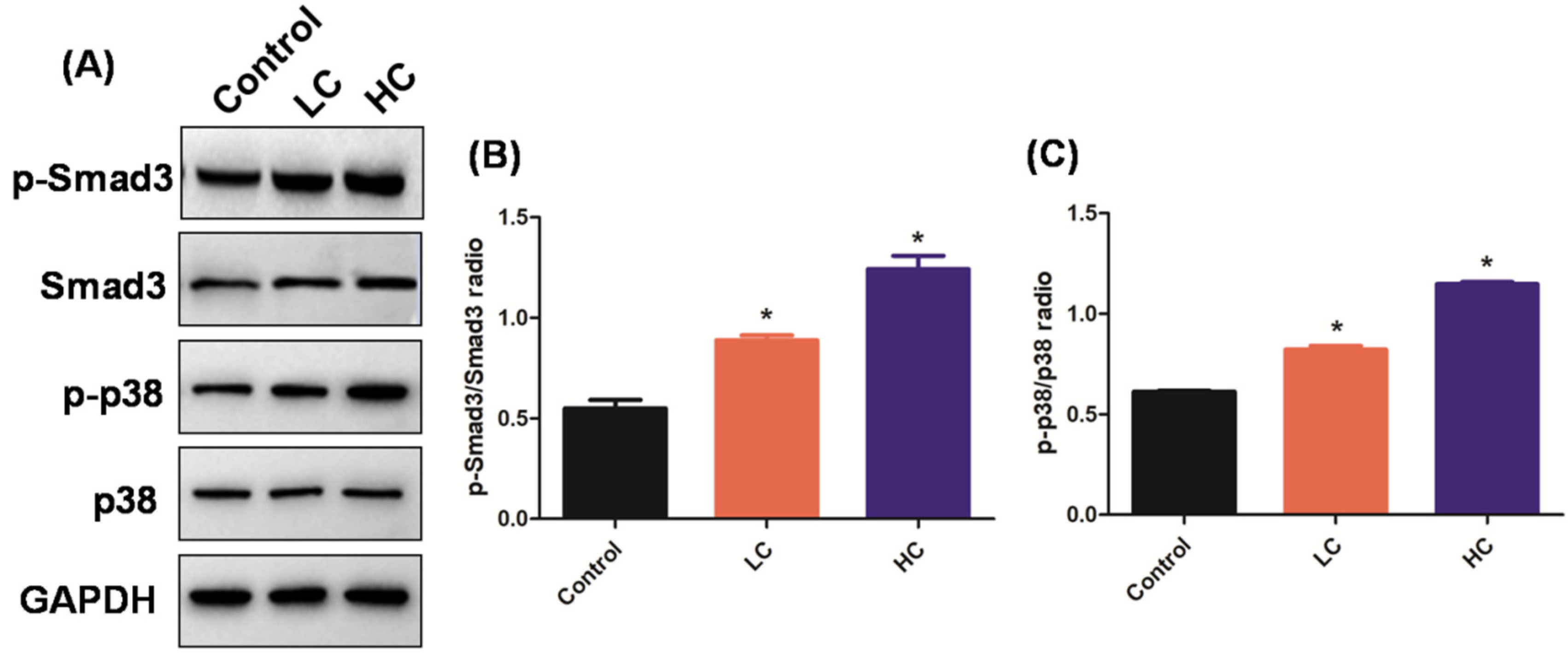 Toxics 10 00647 g003