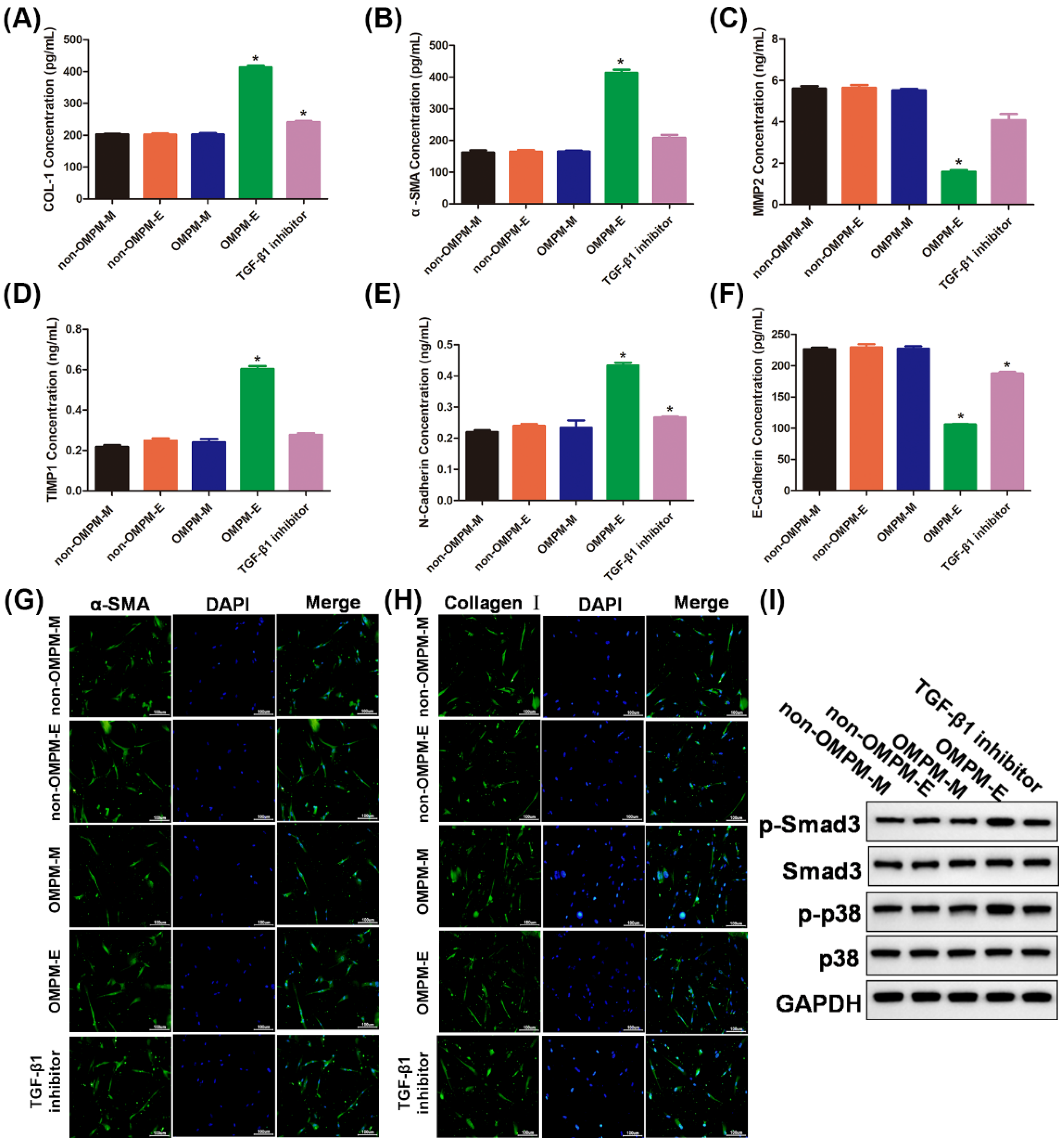 Toxics 10 00647 g006