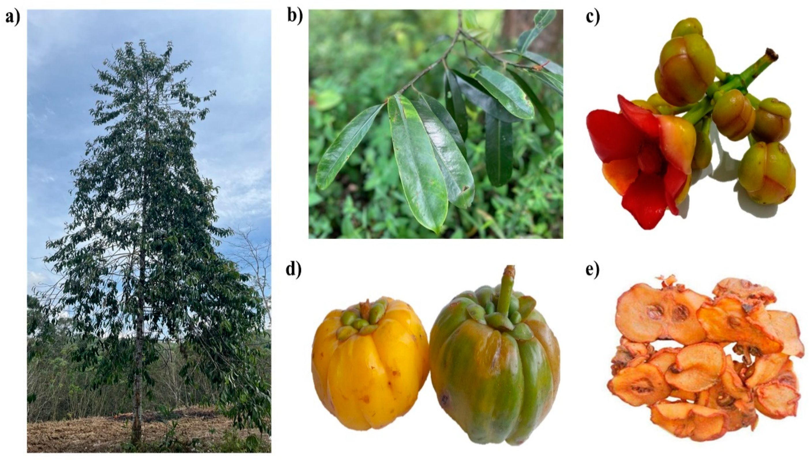 Toxics 10 00656 g002 Toxics 10 00656 g002