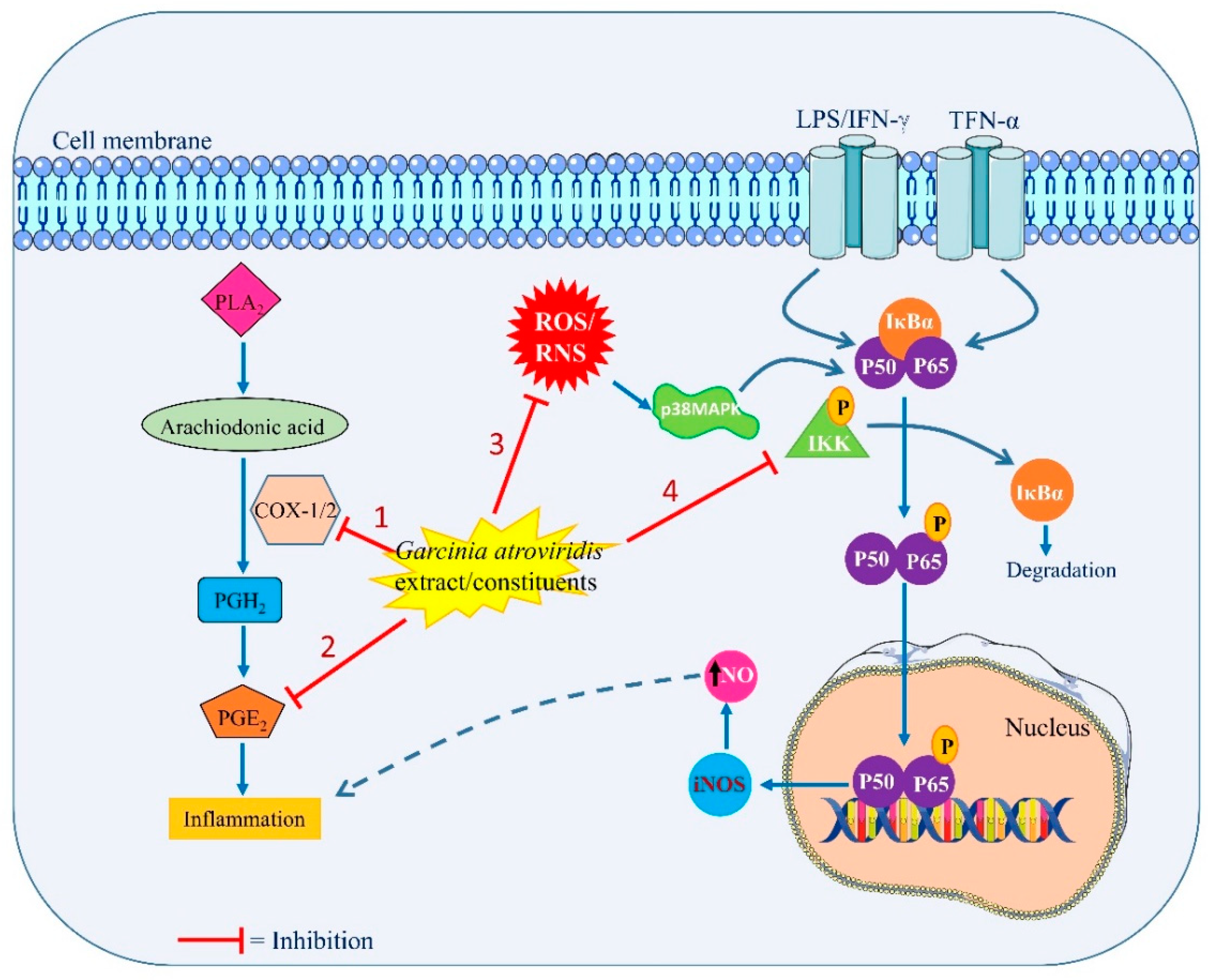 Toxics 10 00656 g004 Toxics 10 00656 g004
