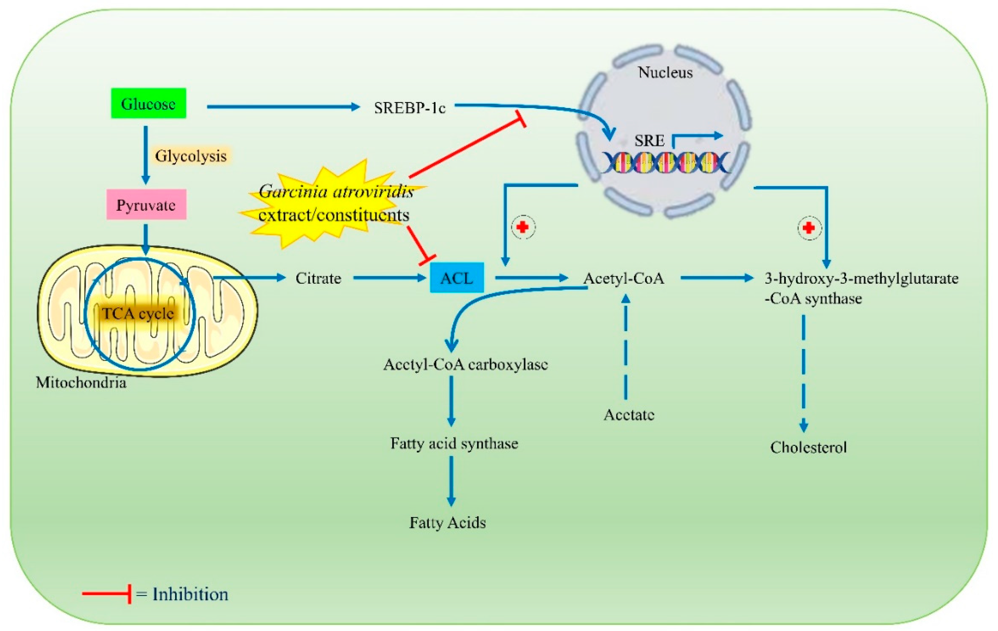 Toxics 10 00656 g005 Toxics 10 00656 g005