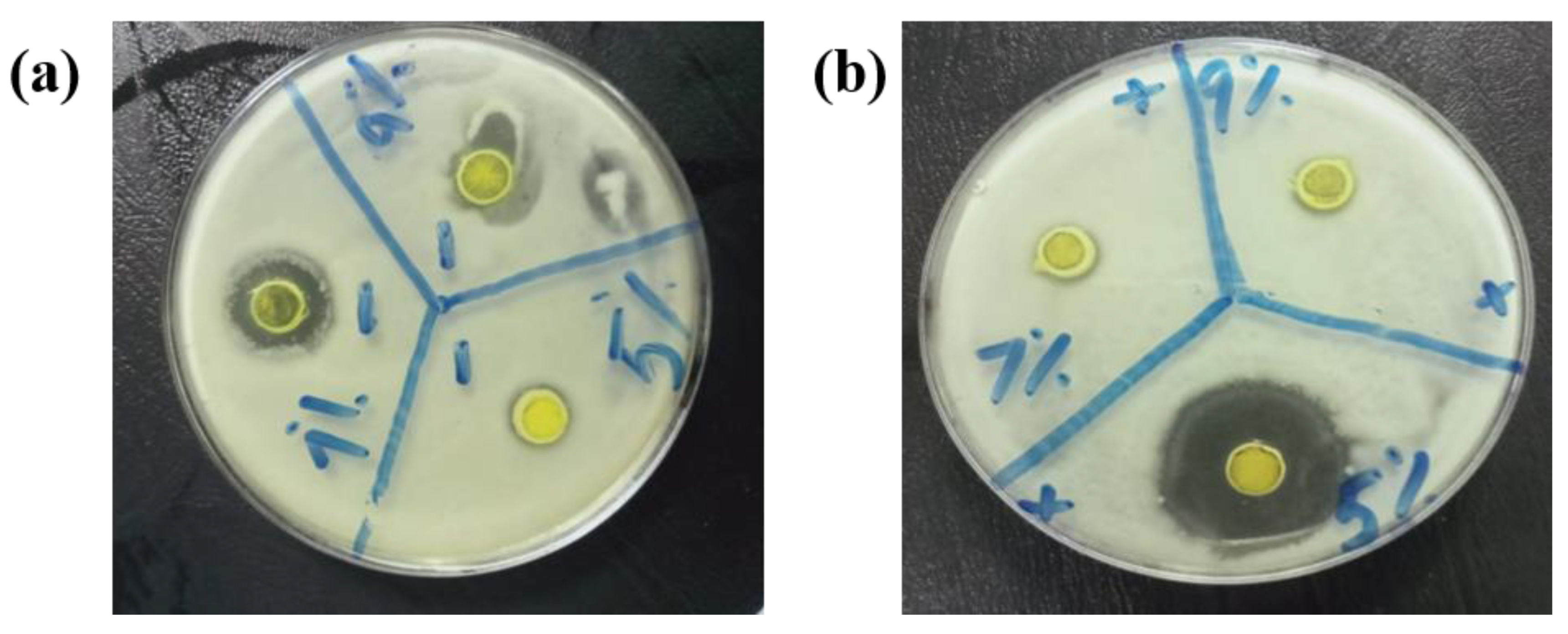 Toxics 10 00657 g009 Toxics 10 00657 g009