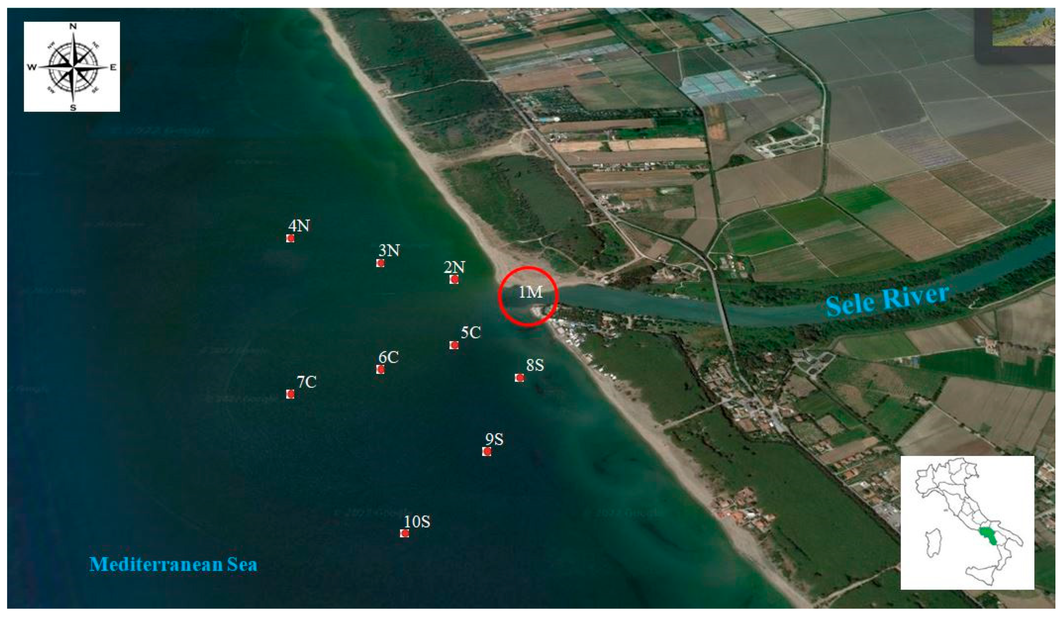 Toxics 10 00662 g001