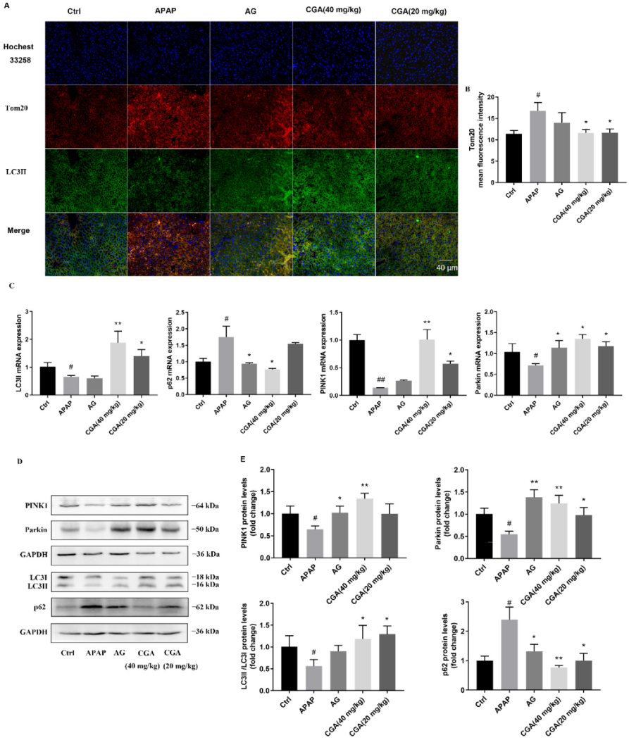 Toxics 10 00665 g005 Toxics 10 00665 g005