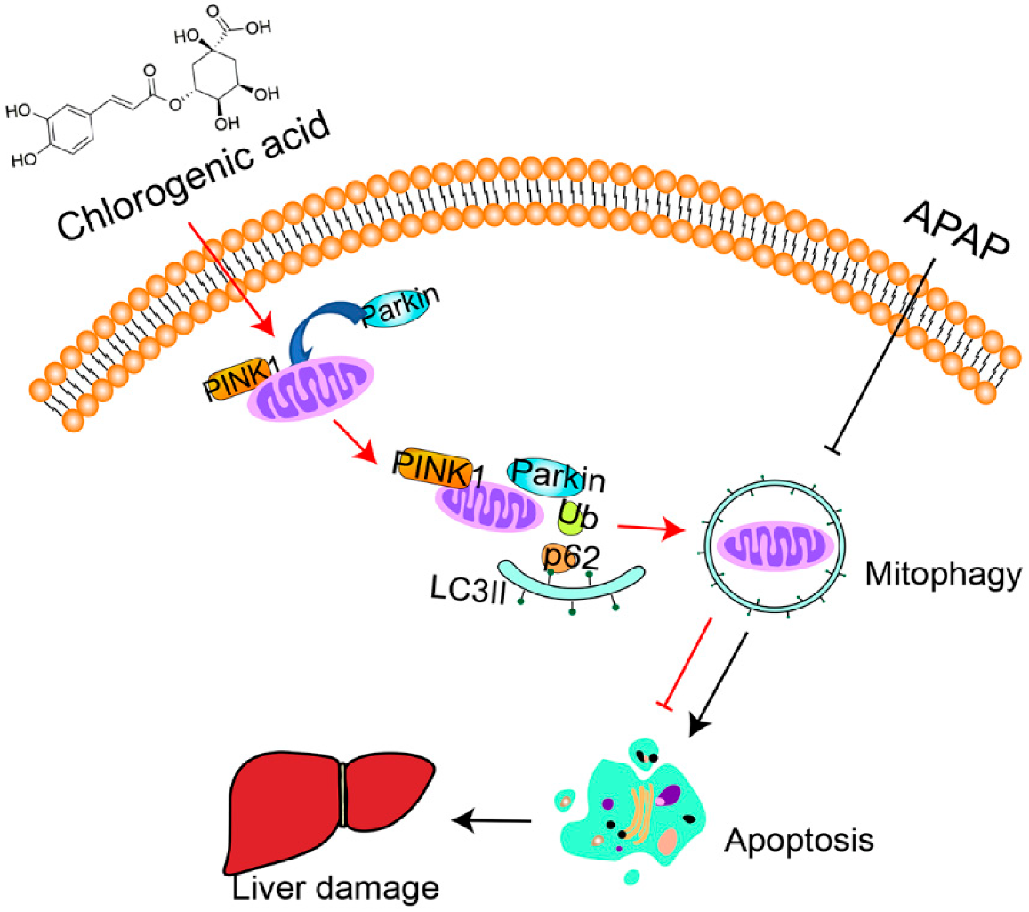 Toxics 10 00665 g007 Toxics 10 00665 g007