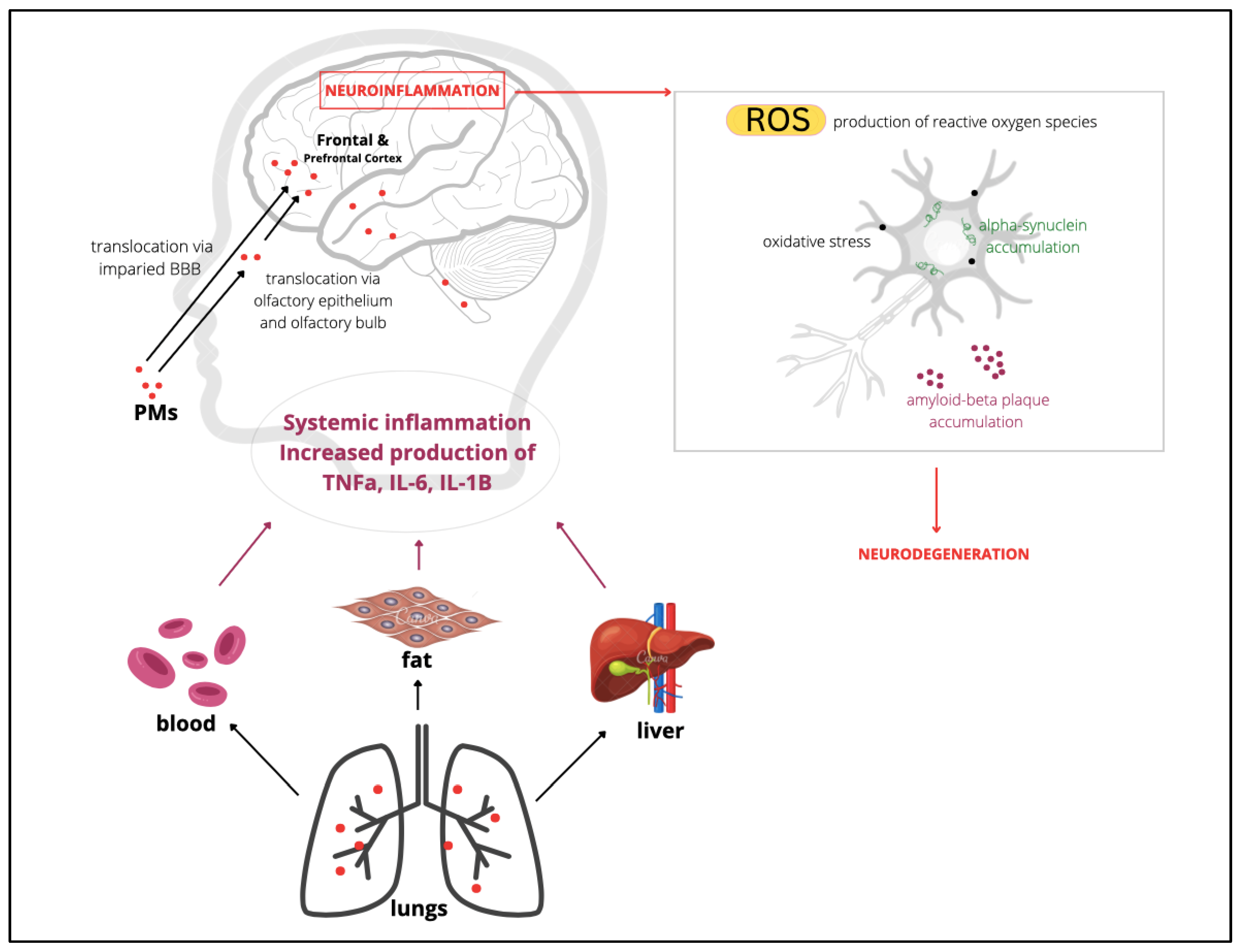 Toxics 10 00666 g002