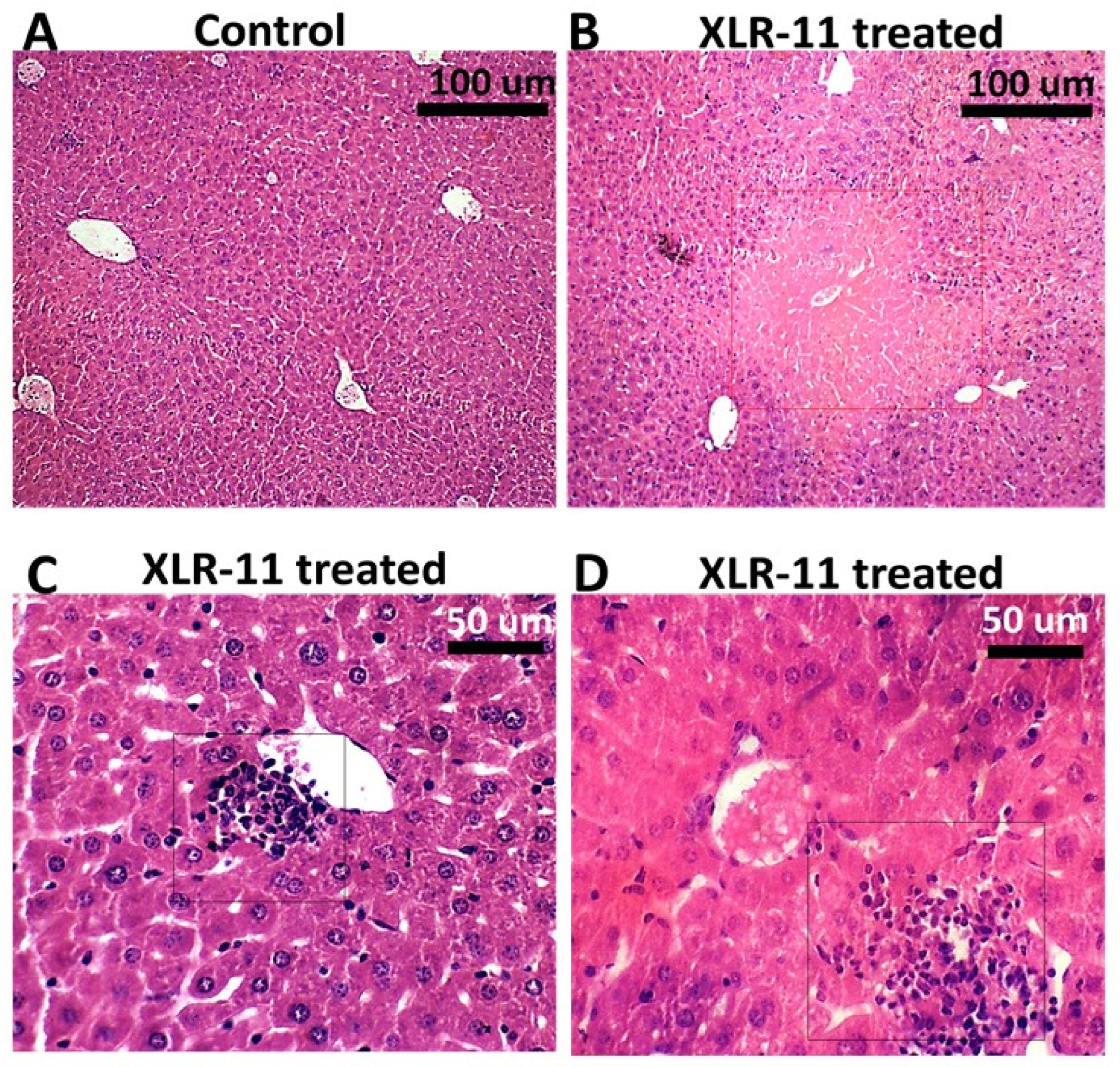 Toxics 10 00668 g004
