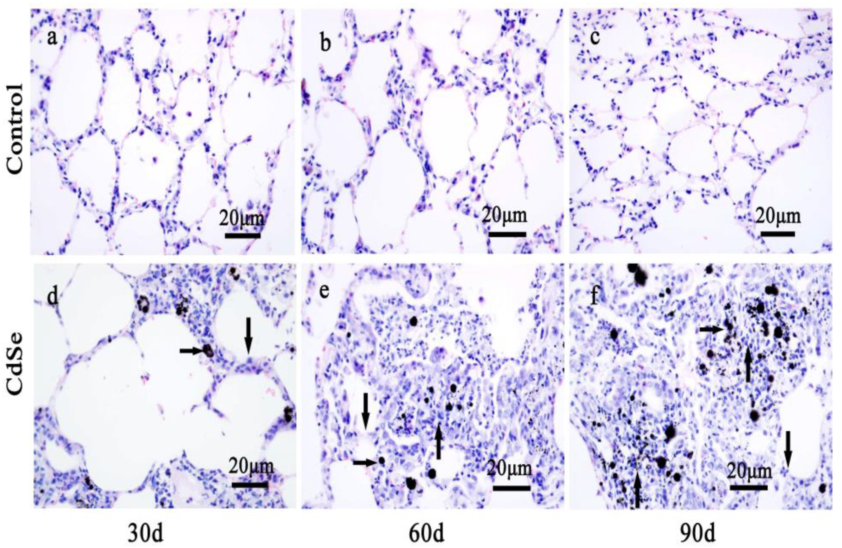 Toxics 10 00673 g001