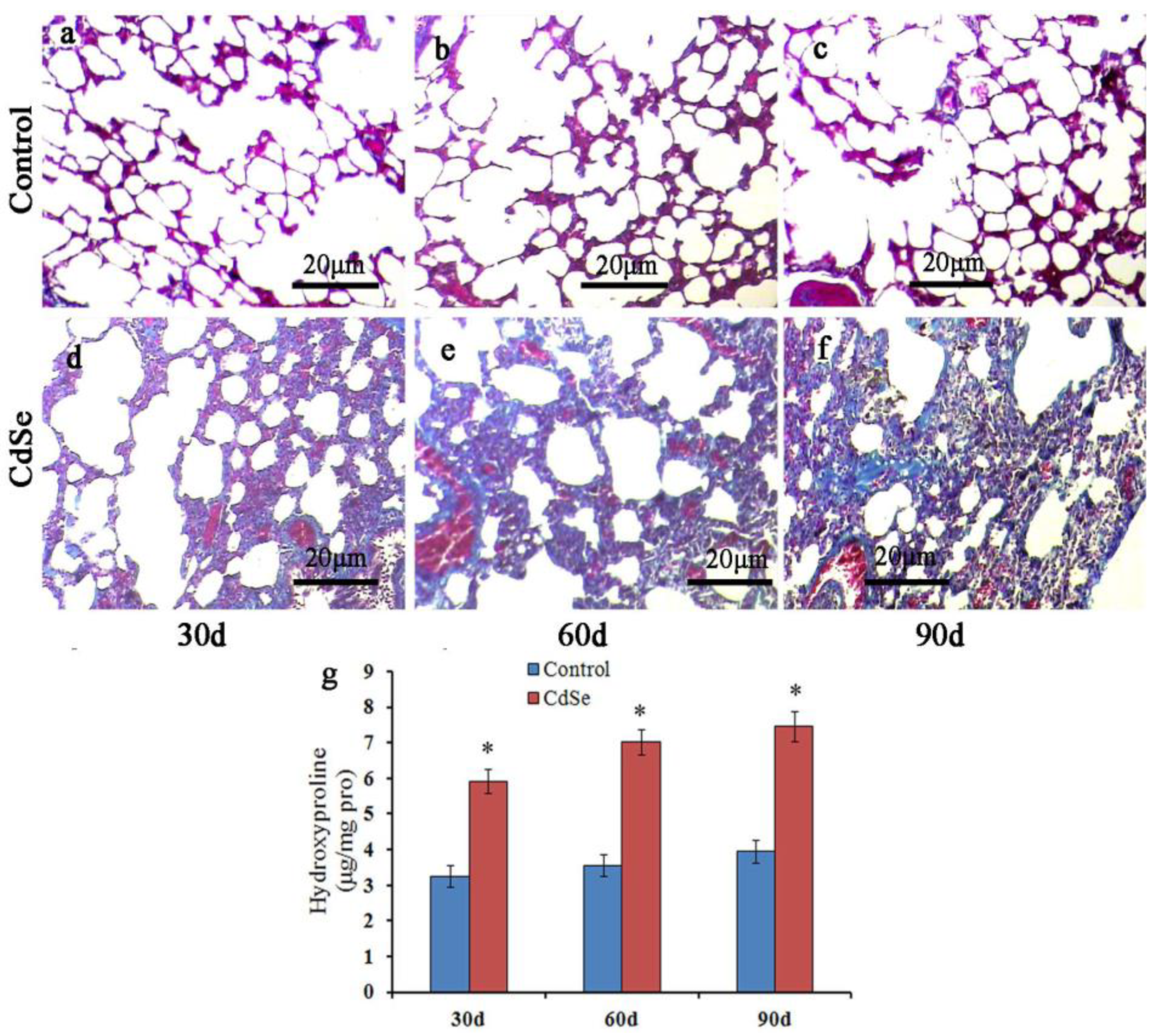 Toxics 10 00673 g002