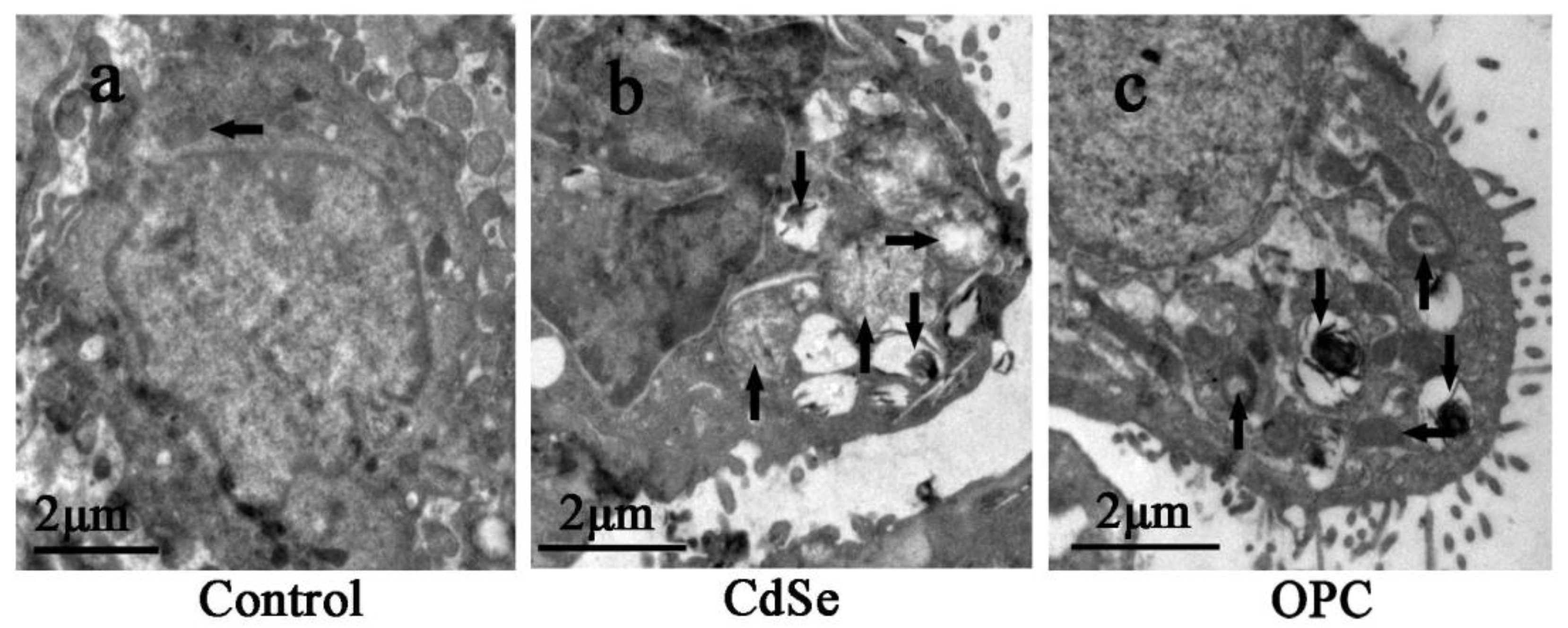 Toxics 10 00673 g006