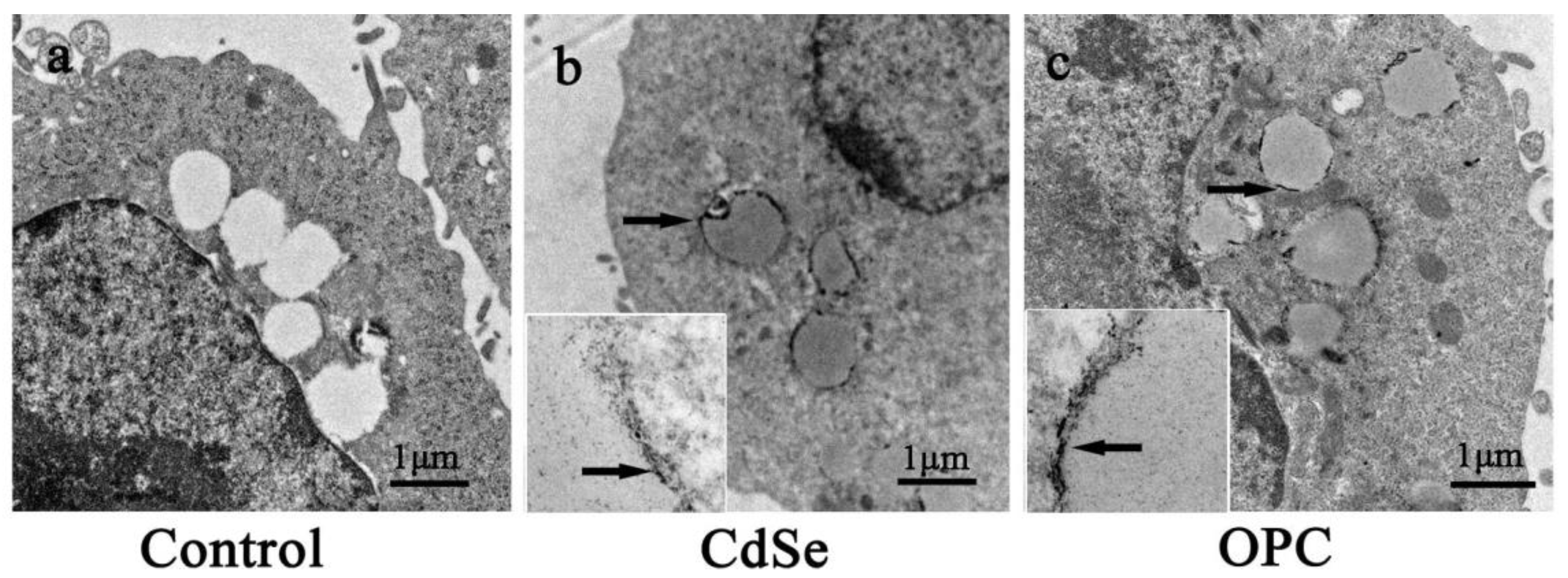 Toxics 10 00673 g008