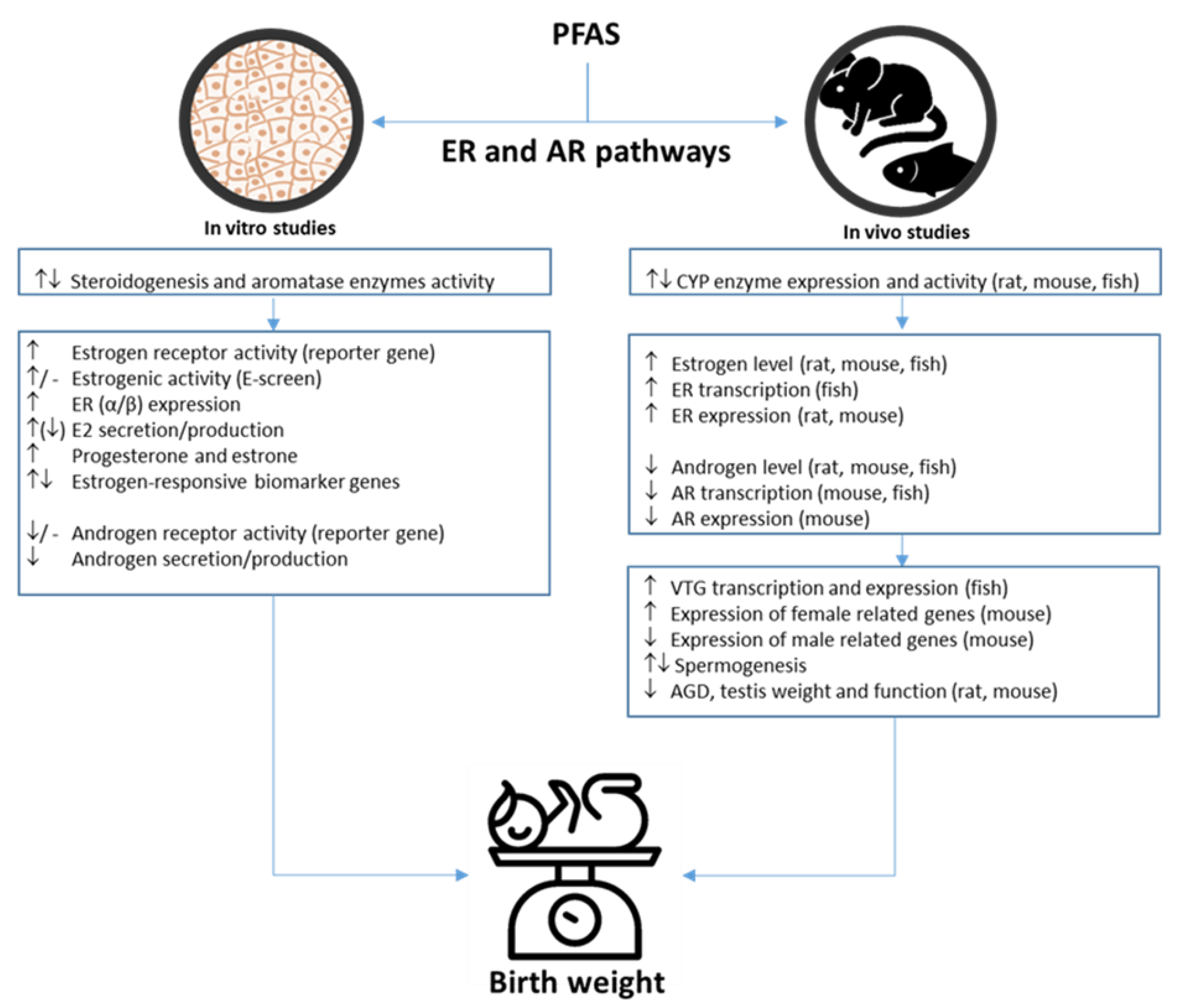 Toxics 10 00684 g004