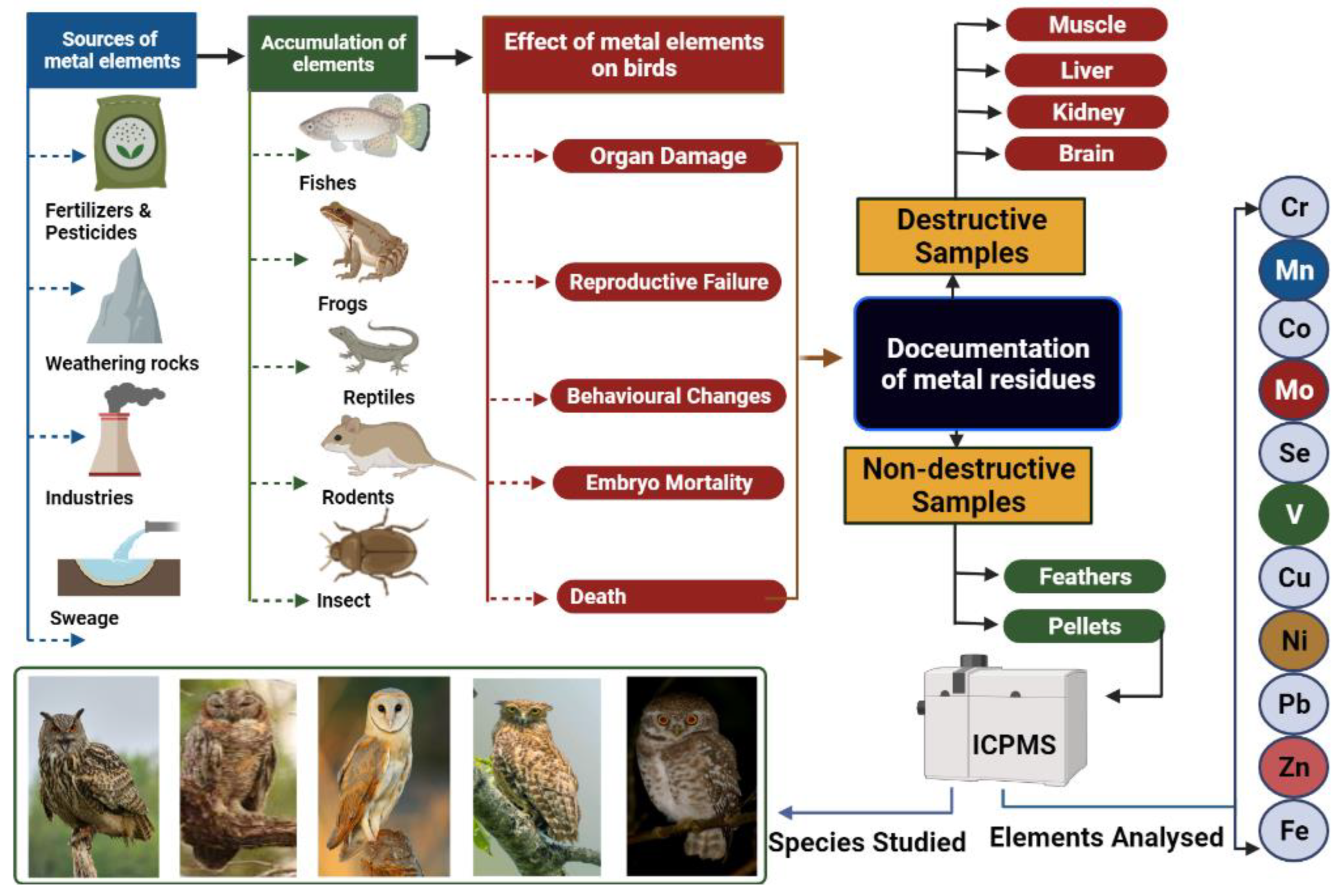 Toxics 10 00693 g001 Toxics 10 00693 g001