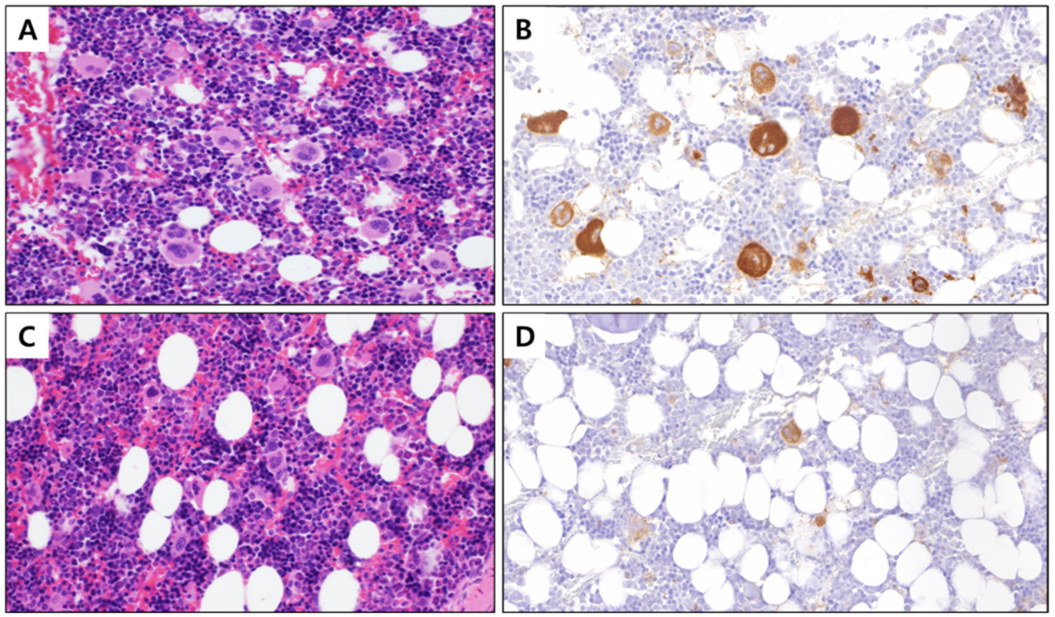Toxics 10 00694 g001