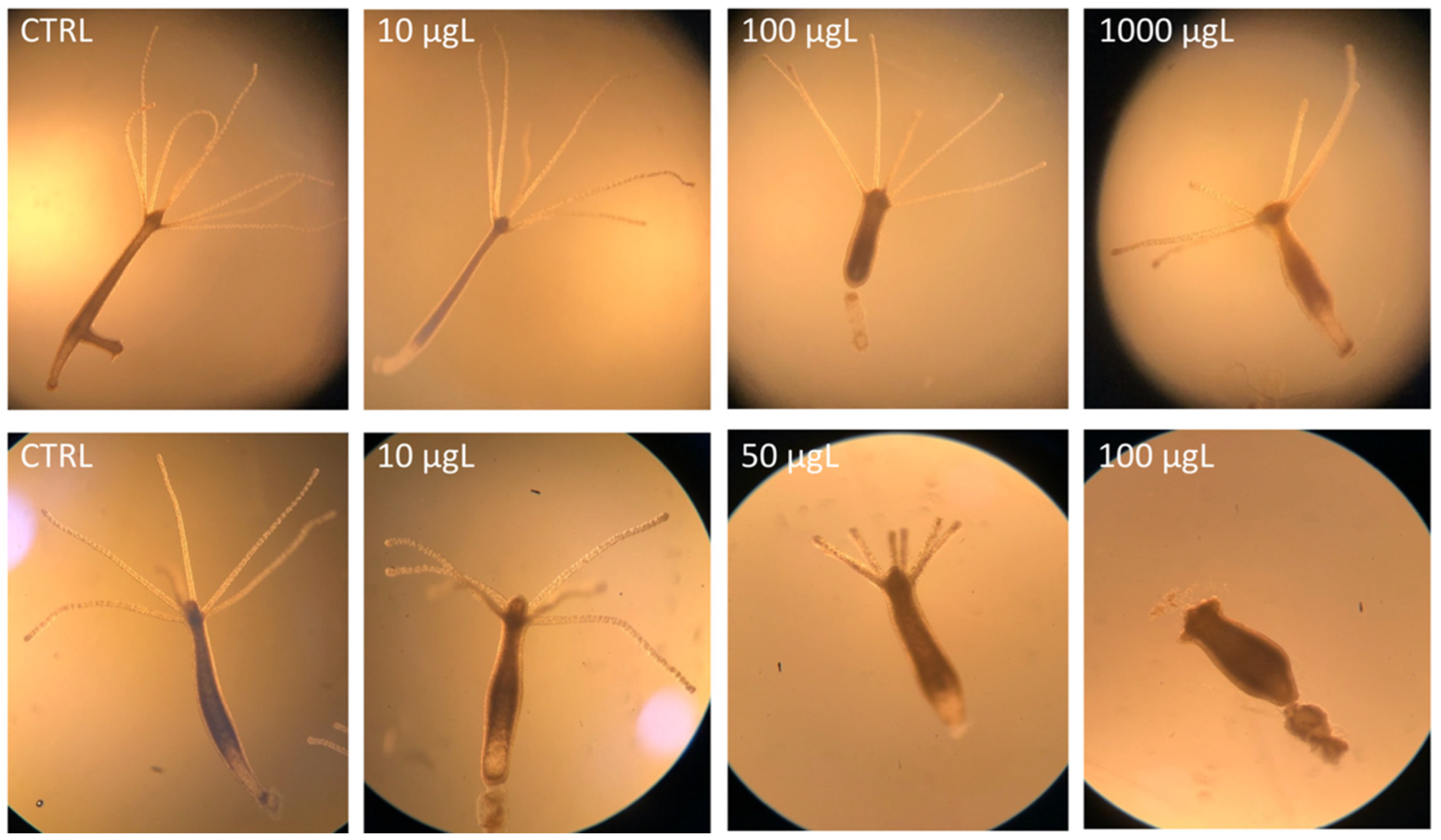 Toxics 10 00695 g001