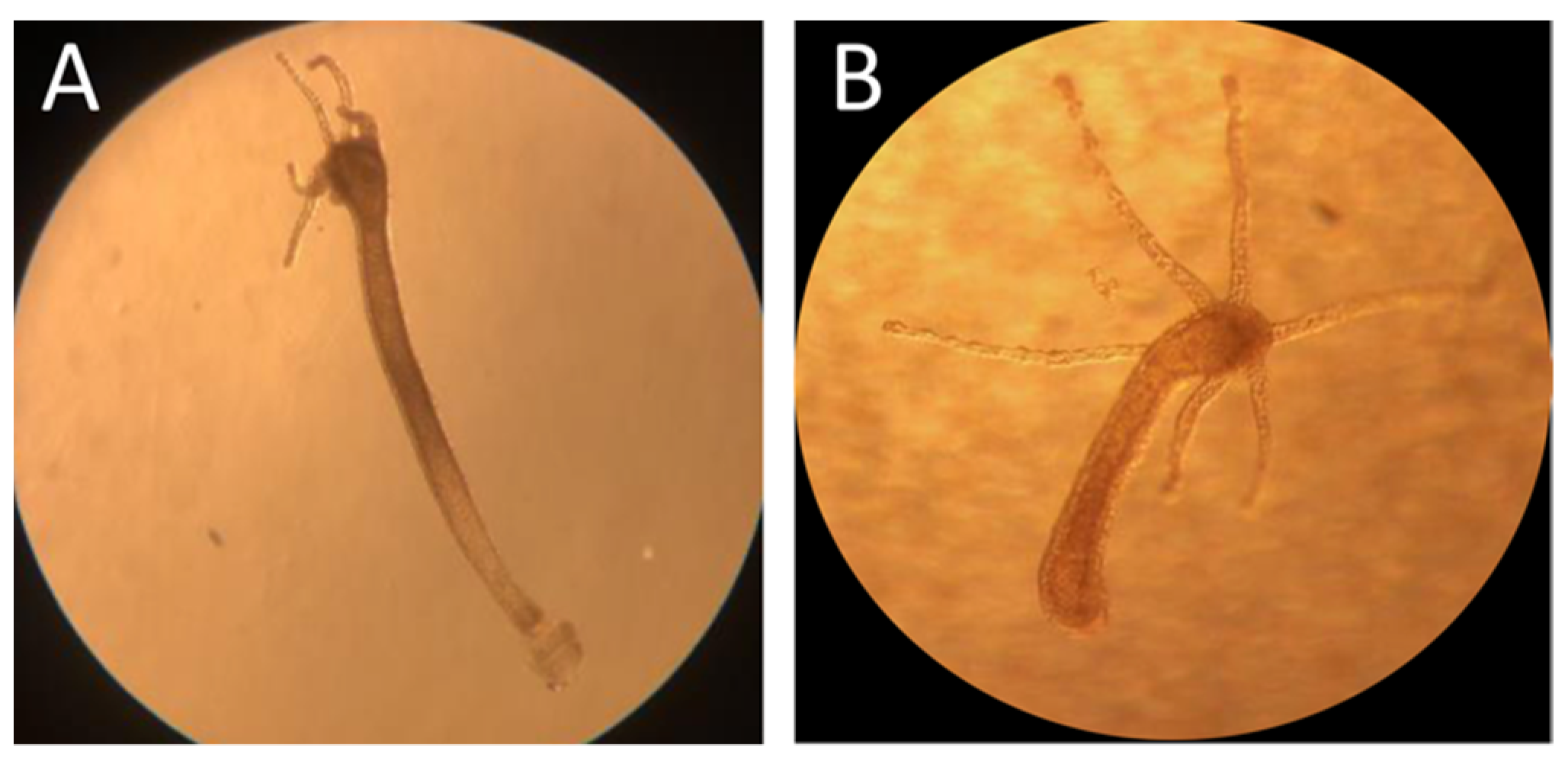 Toxics 10 00695 g003