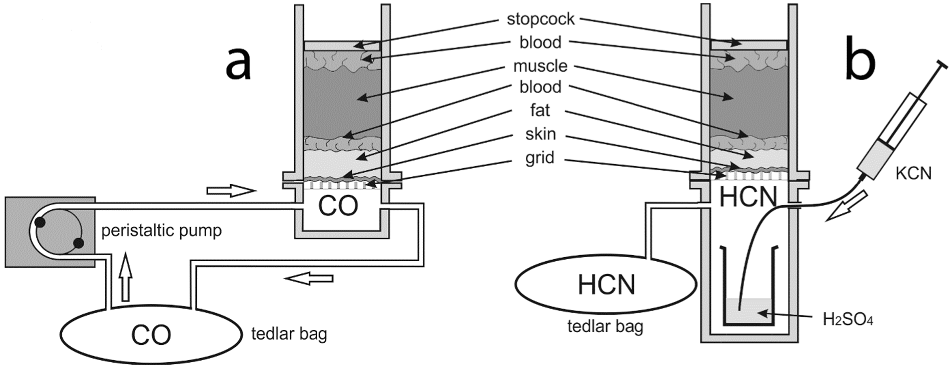 Toxics 10 00707 g002