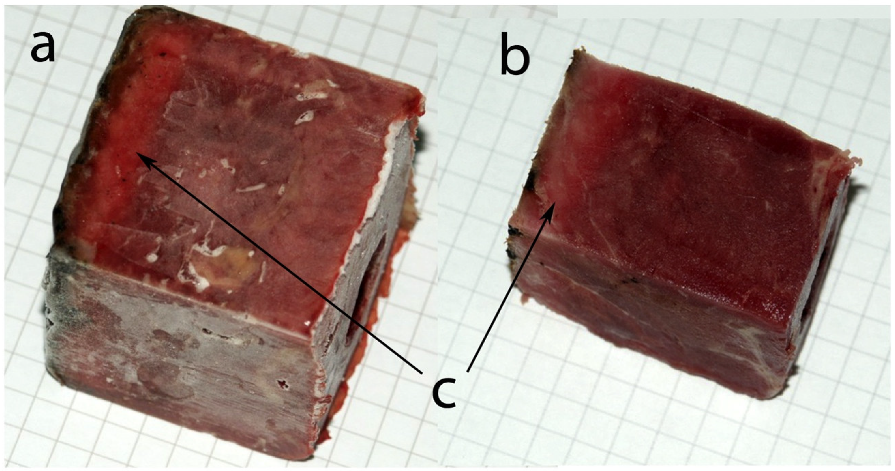 Toxics 10 00707 g003