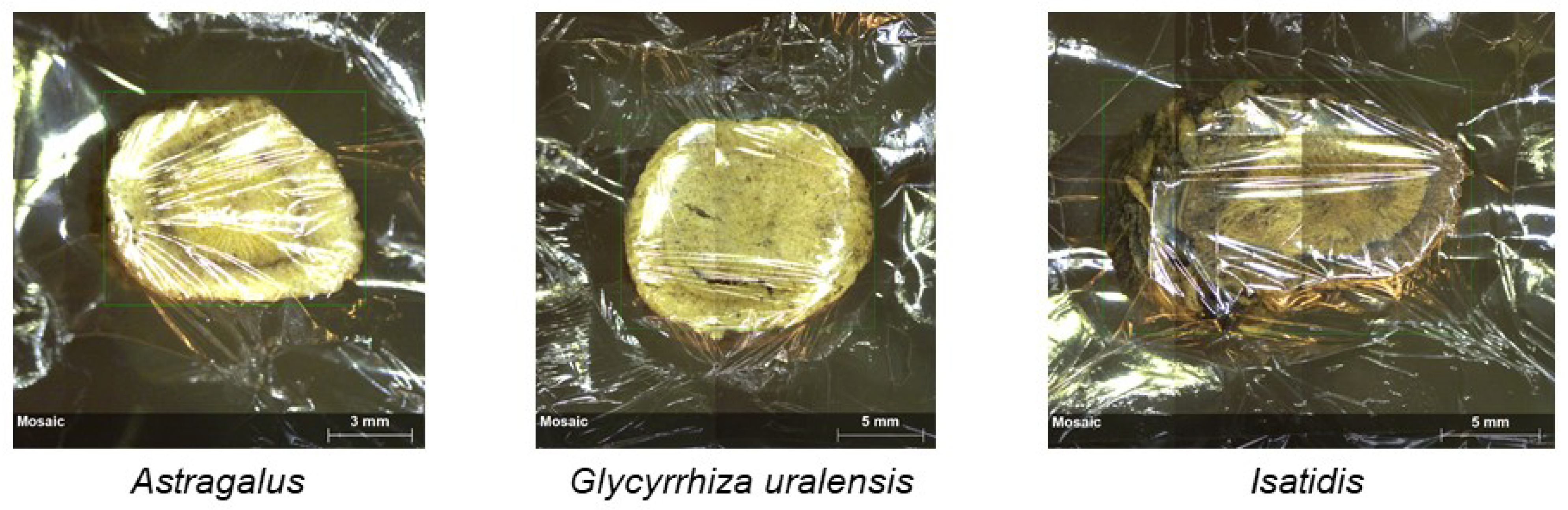 Toxics 10 00719 g001 Toxics 10 00719 g001