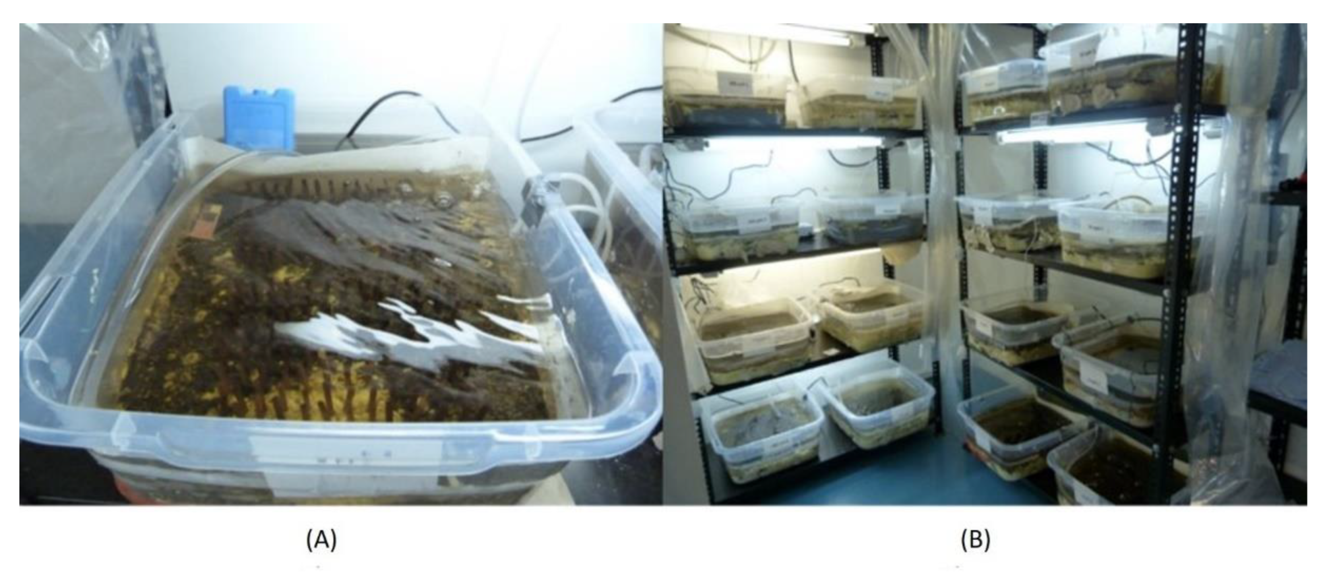 Toxics 10 00720 g001