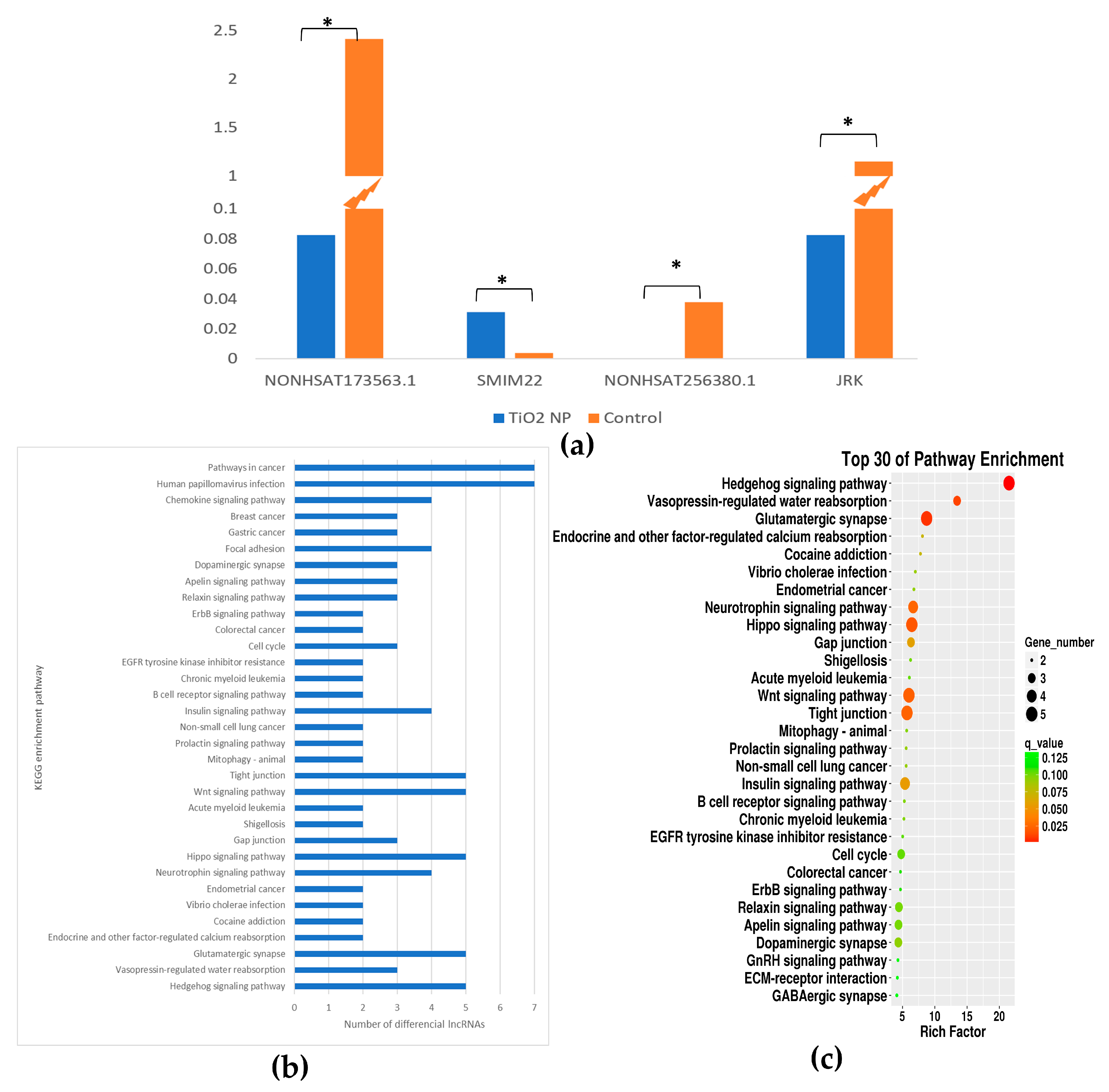 Toxics 10 00724 g006 Toxics 10 00724 g006