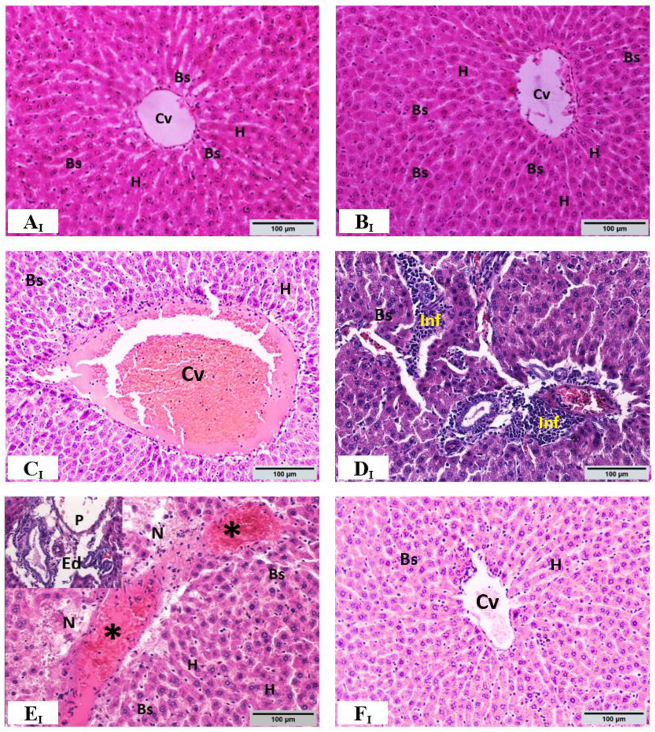 Toxics 10 00729 g003a Toxics 10 00729 g003a