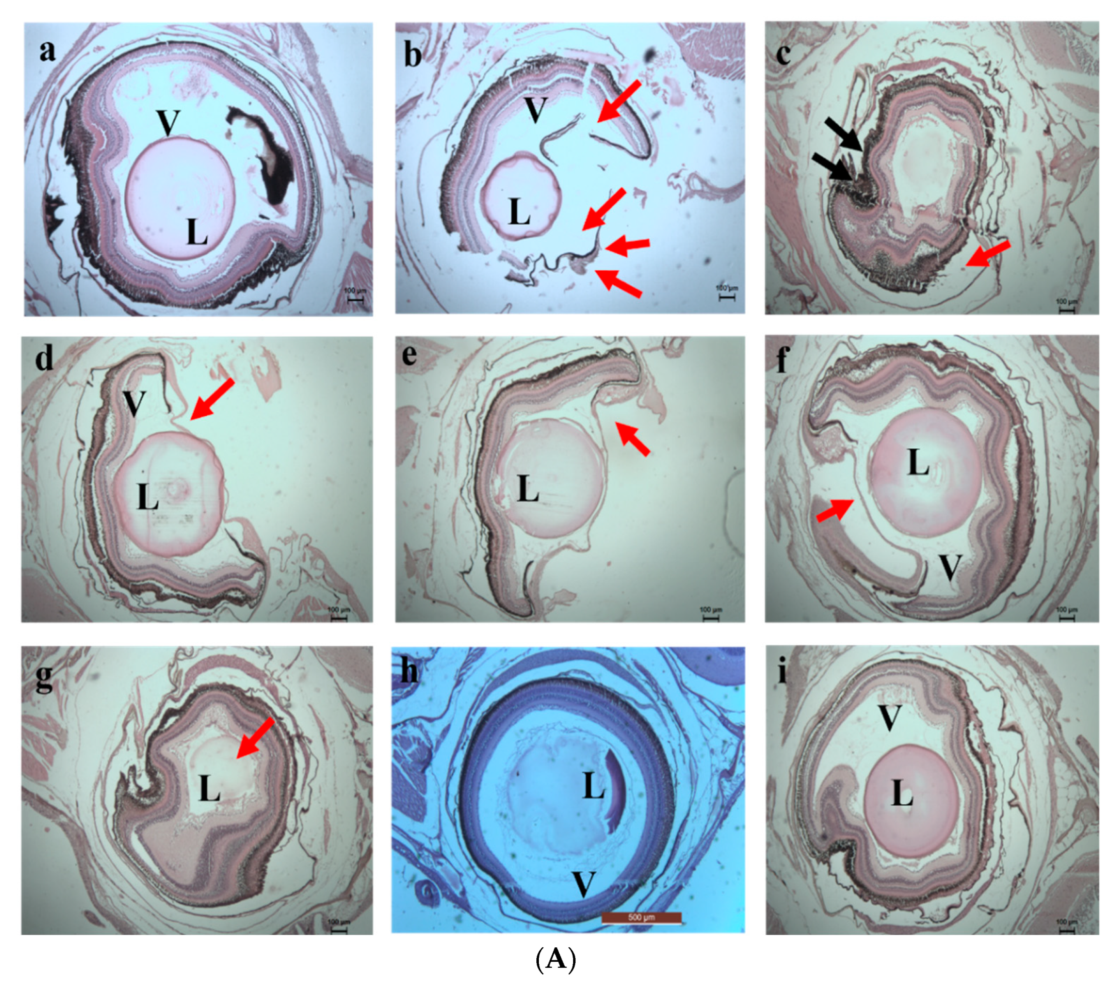 Toxics 10 00742 g014a