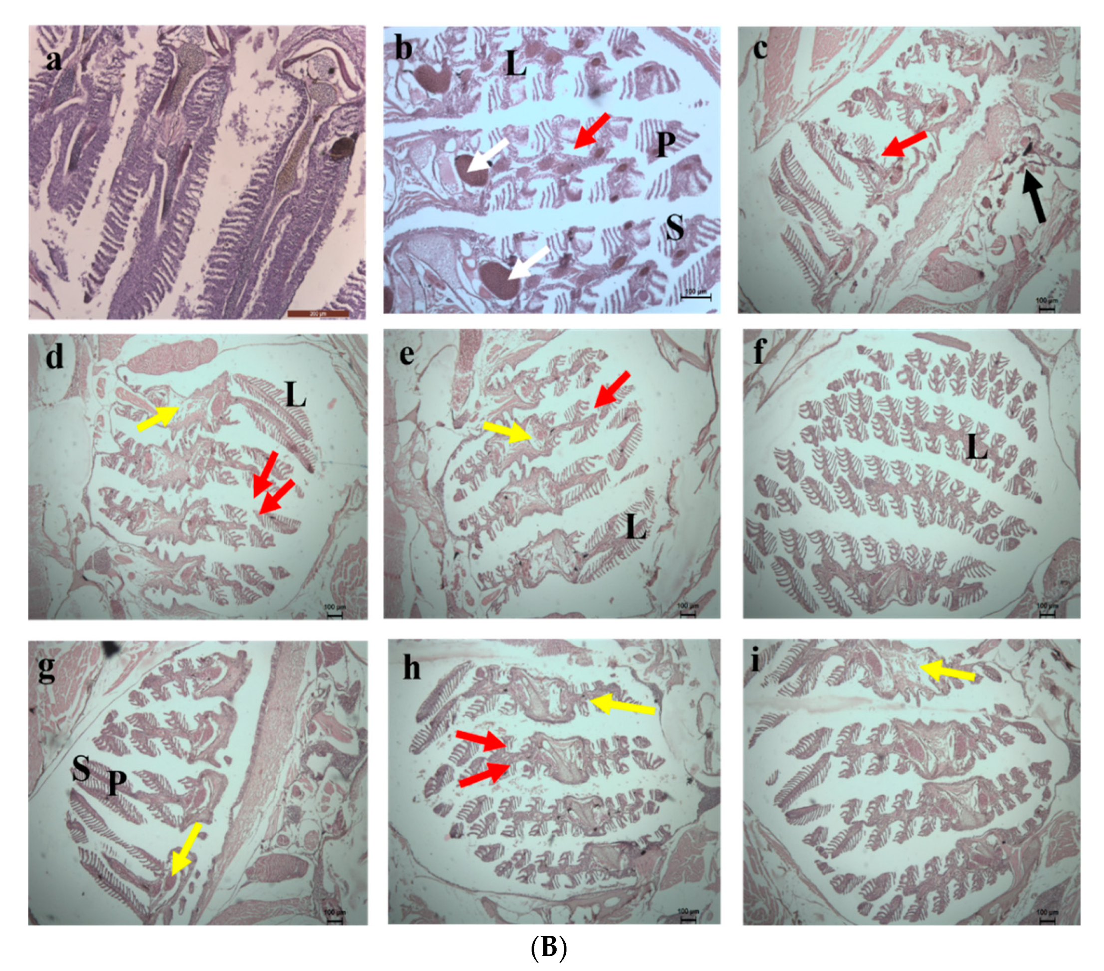 Toxics 10 00742 g014b