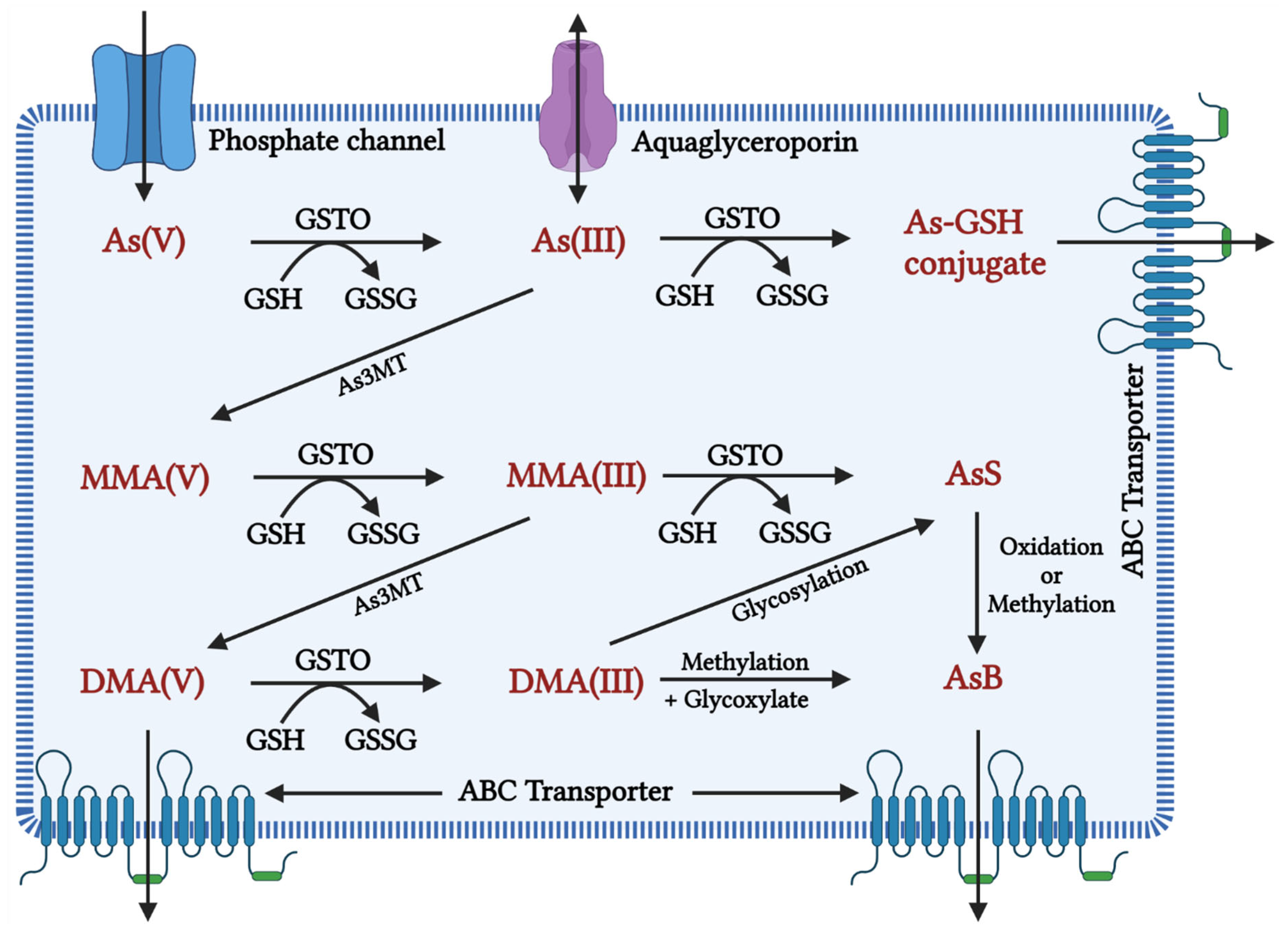 Toxics 10 00744 g001 Toxics 10 00744 g001